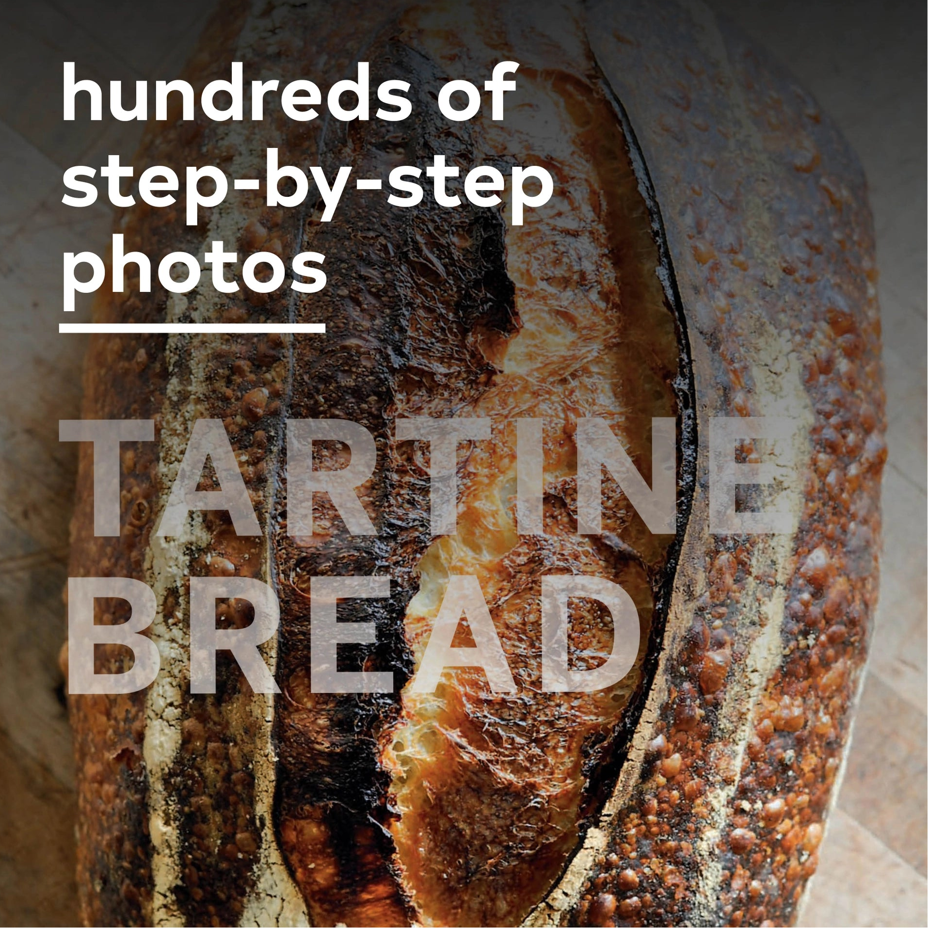 Tartine Bread