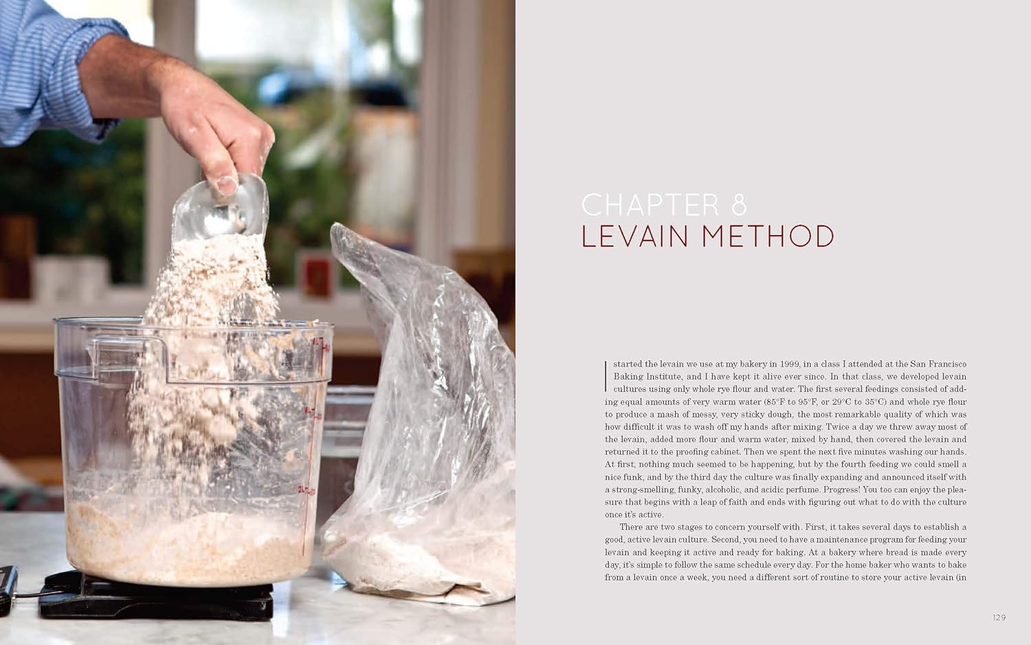 Flour Water Salt Yeast: The Fundamentals of Artisan Bread and Pizza