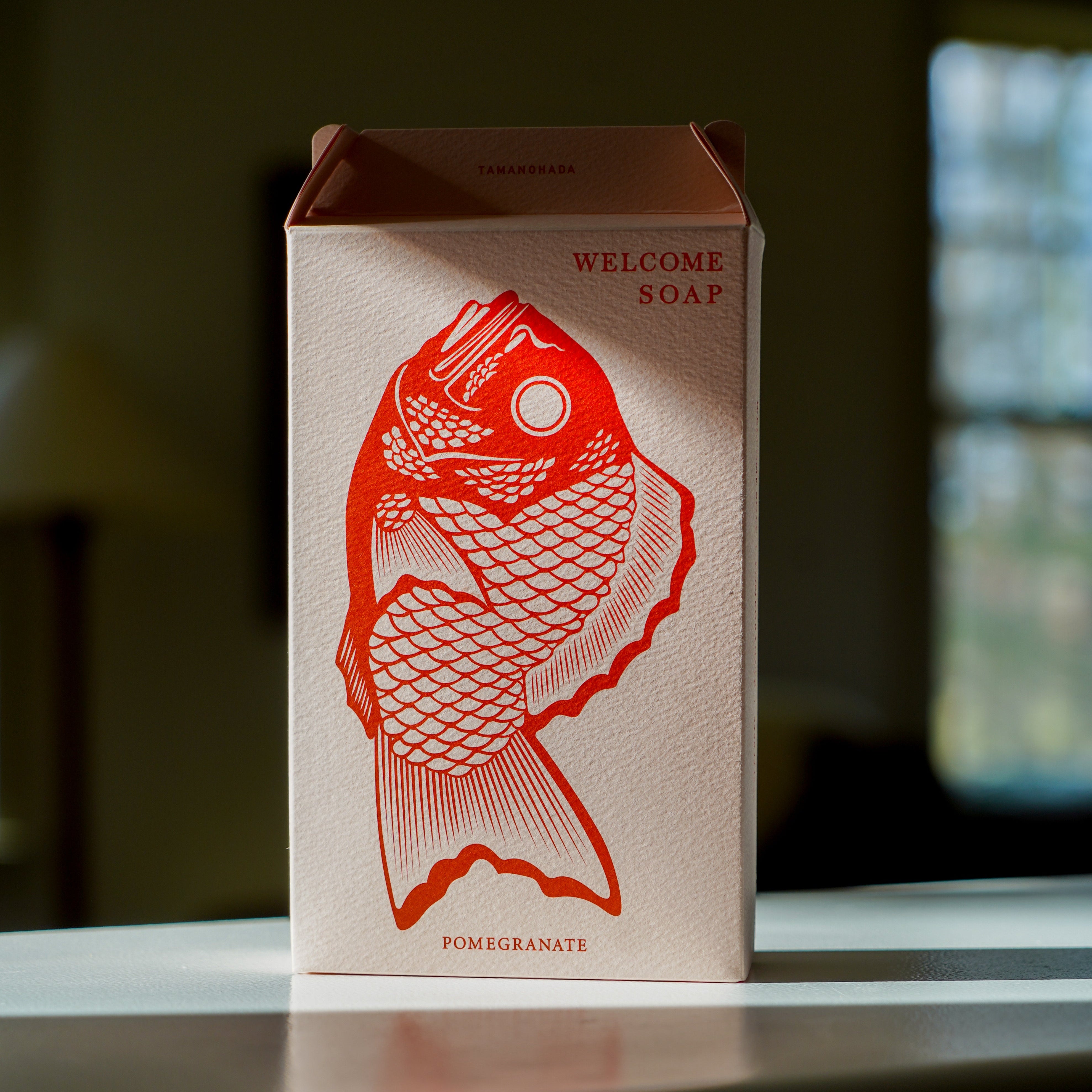 Welcome Fish Soap