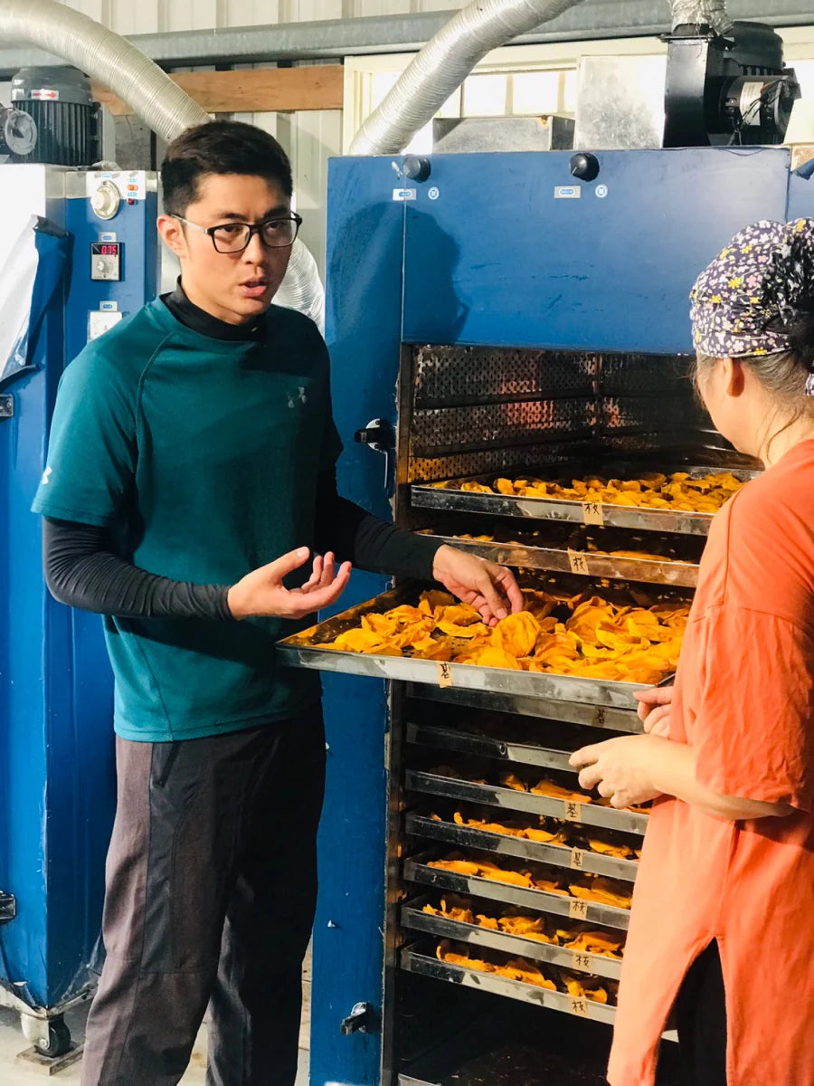 Taiwanese Dried Fruit, 100g