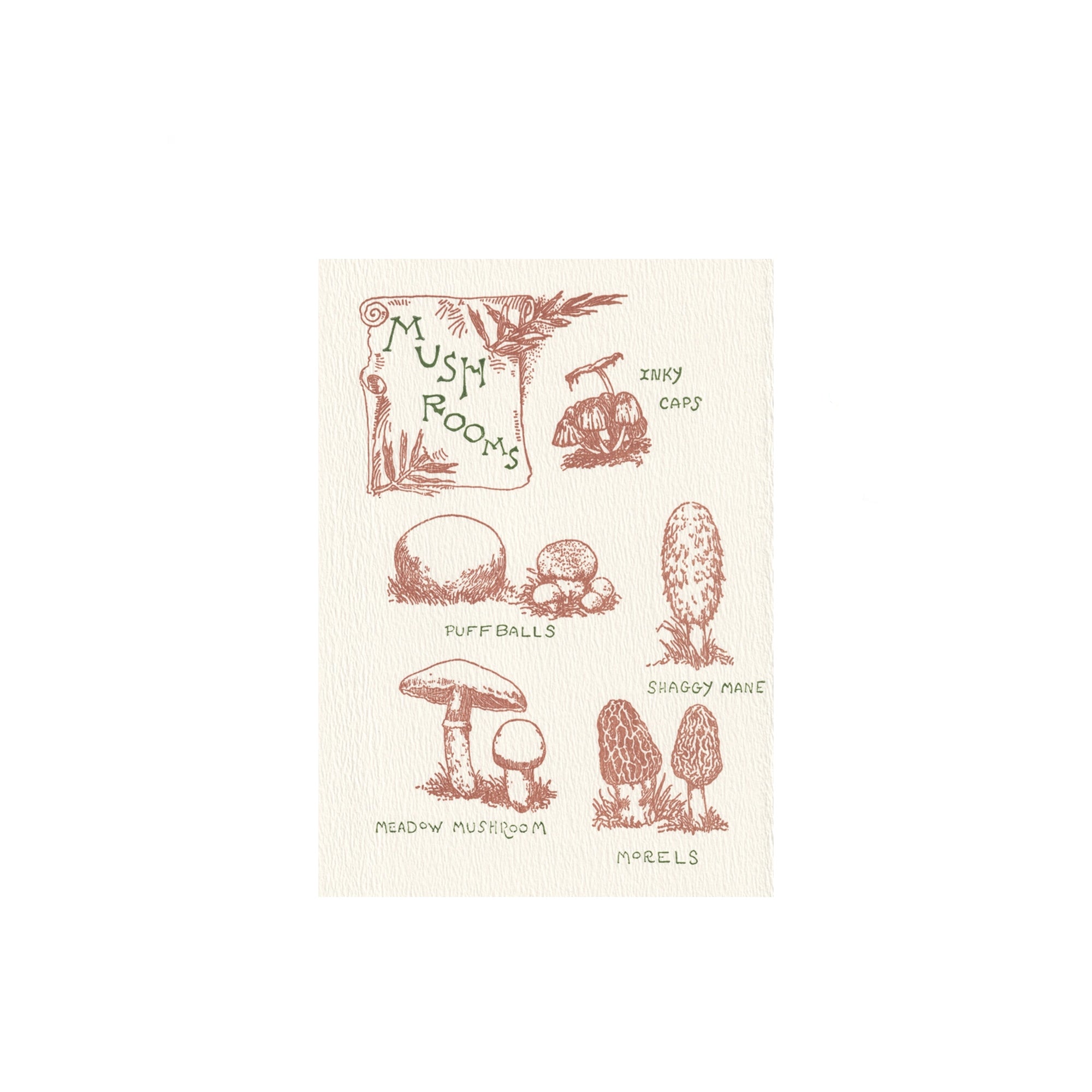 Greeting Cards