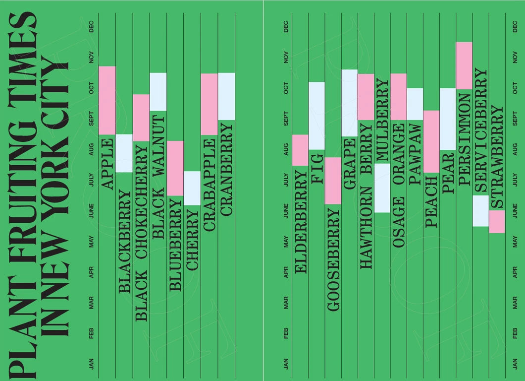 The Other Almanac: 2027