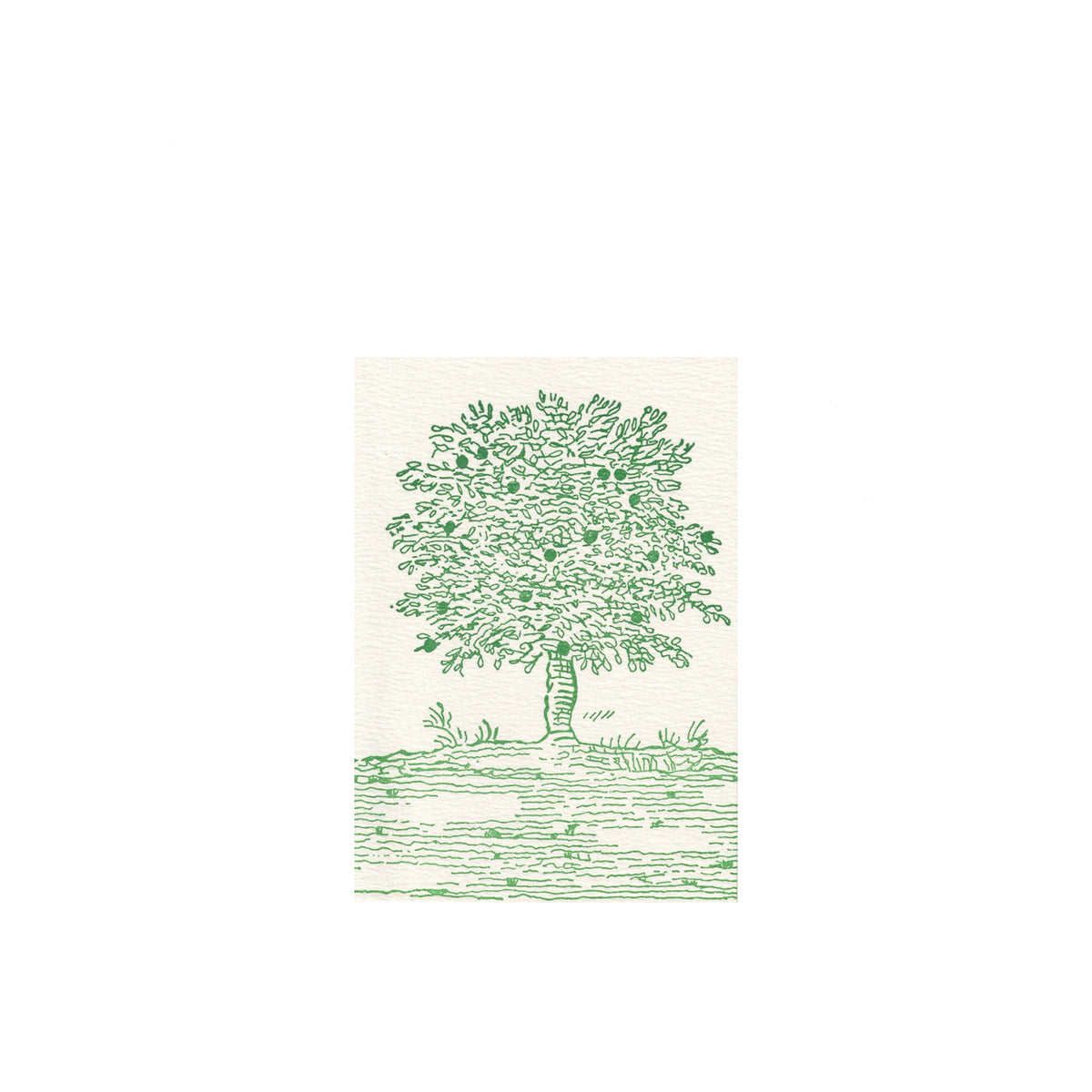 Note Cards, Set of 6