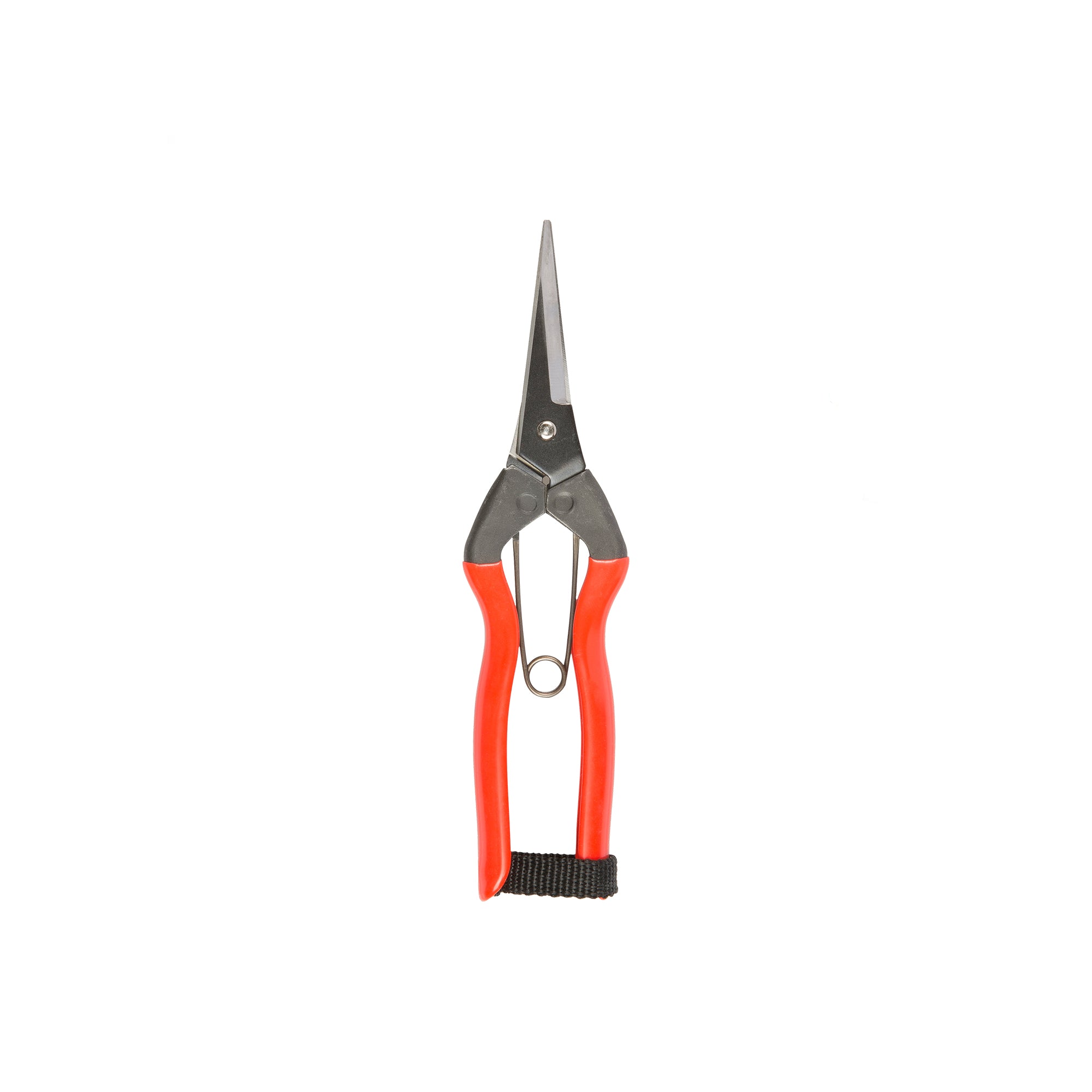 Garden Snips
