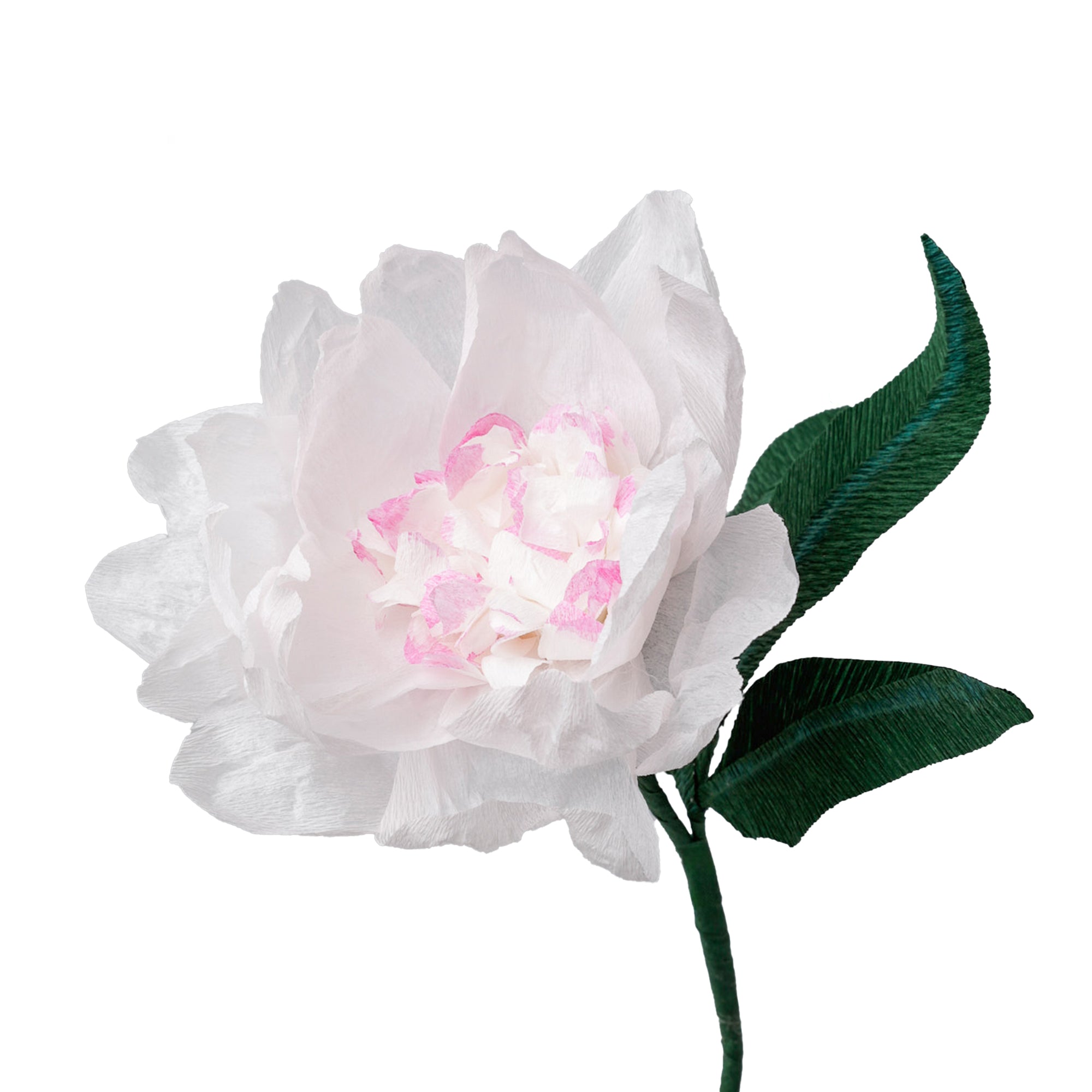 Handmade Crepe Peony Single Bloom Stem