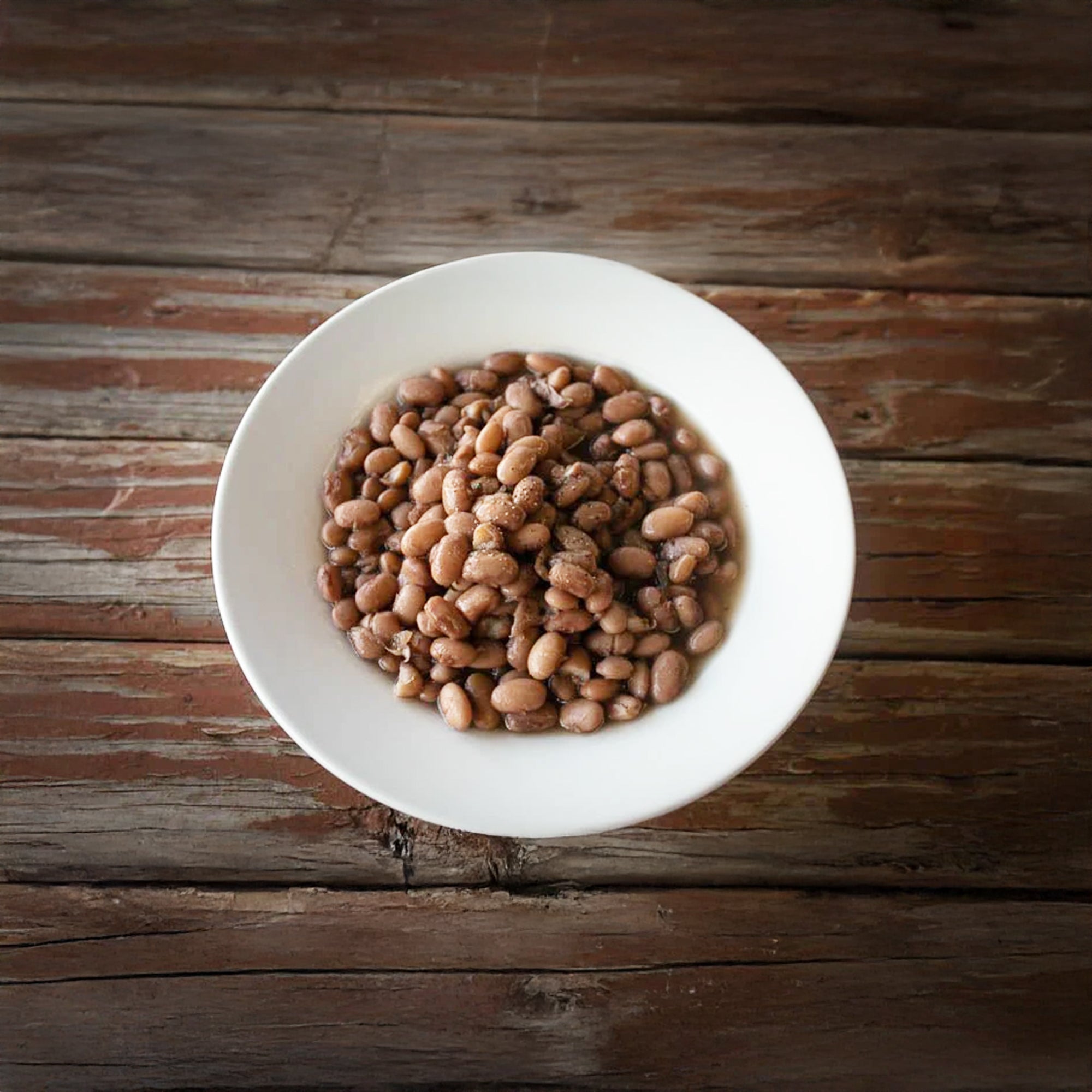 Pinto Bean