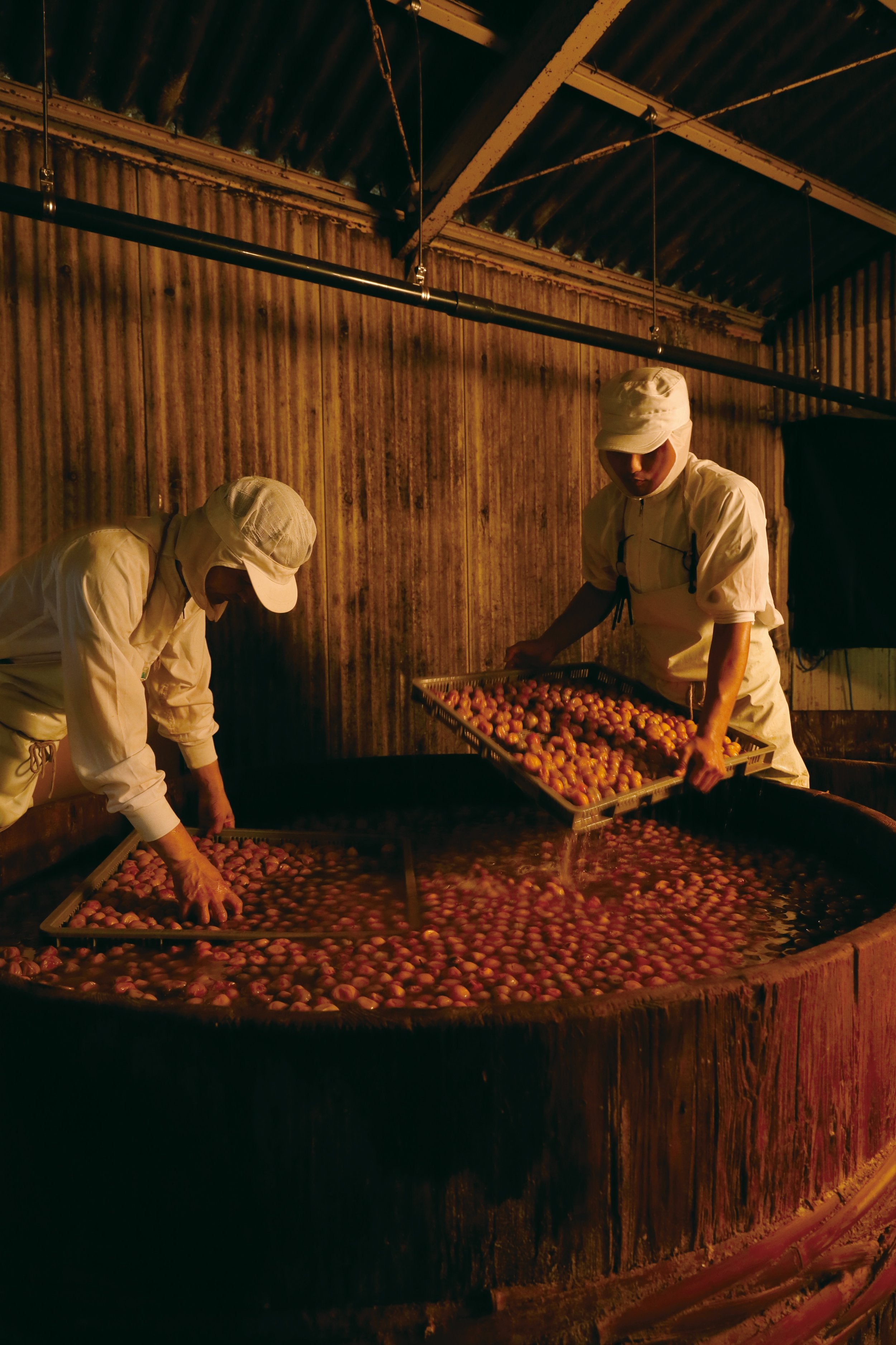 MiMAKi Umeboshi