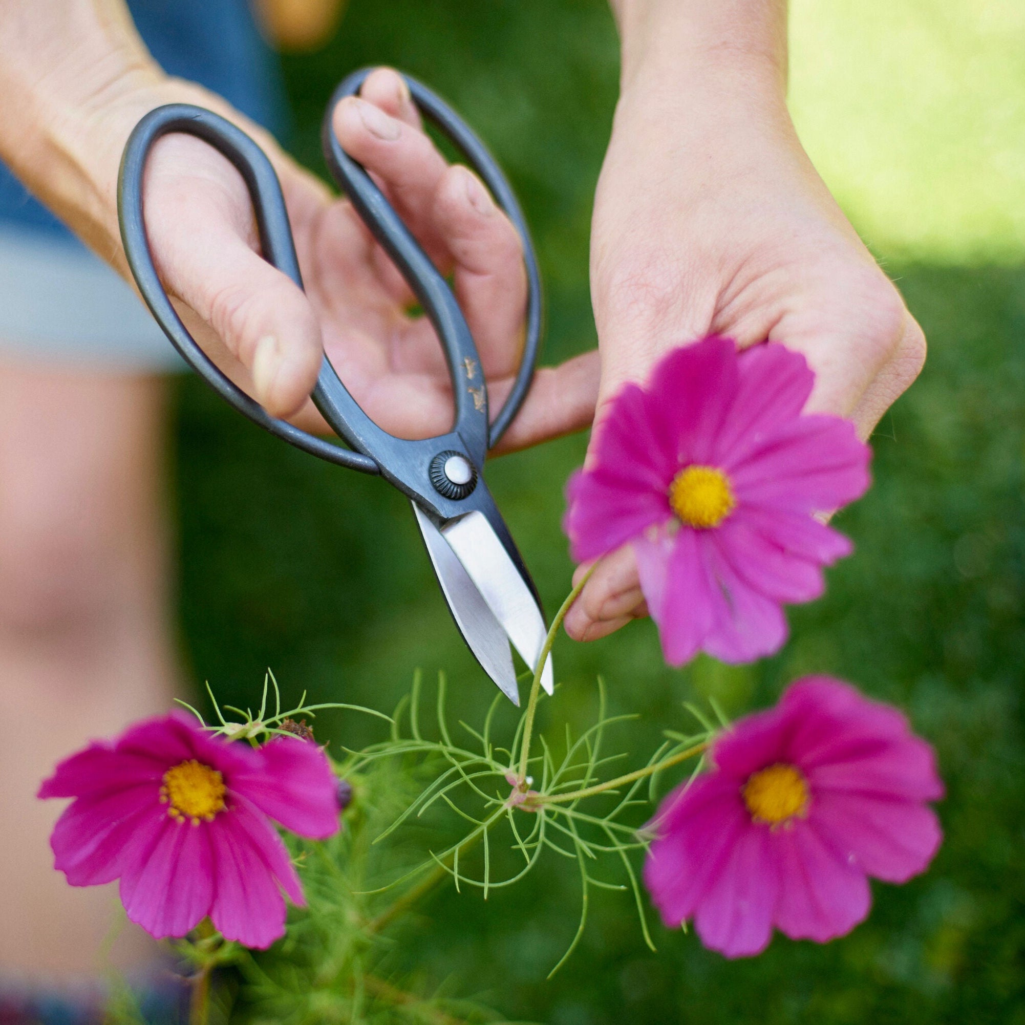 Sentei Gardening Scissors