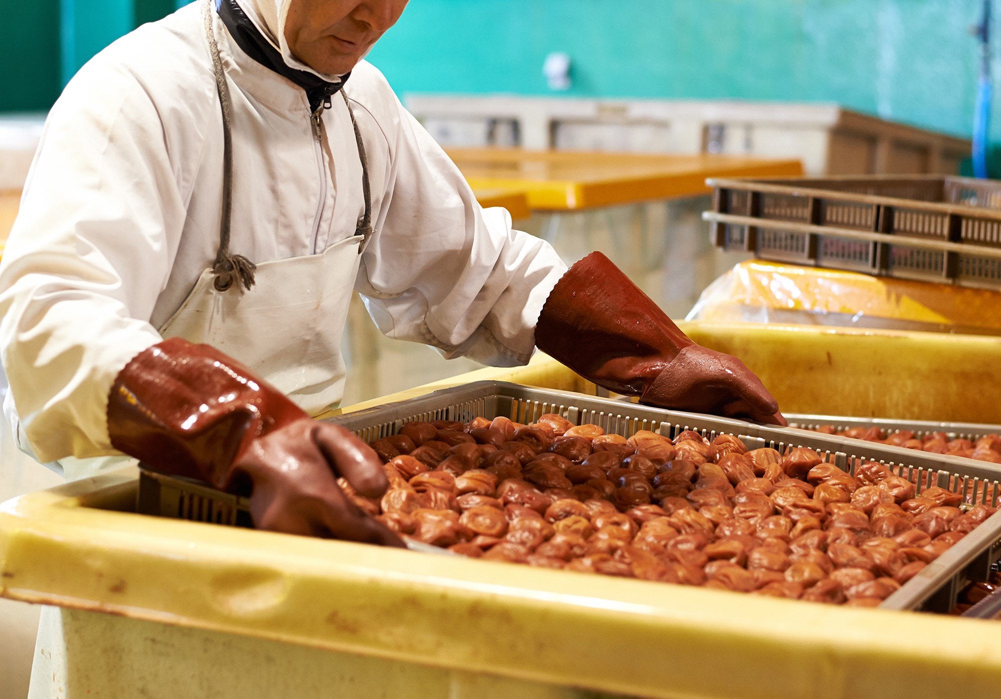 MiMAKi Umeboshi
