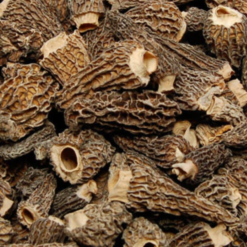 Dried Wild Morel Mushrooms, 1.5 oz.