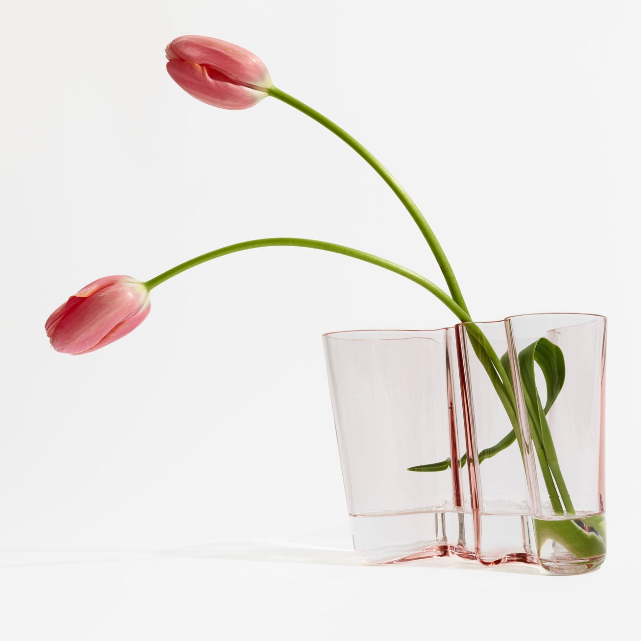 Aalto Vase, 6.25", Salmon Pink