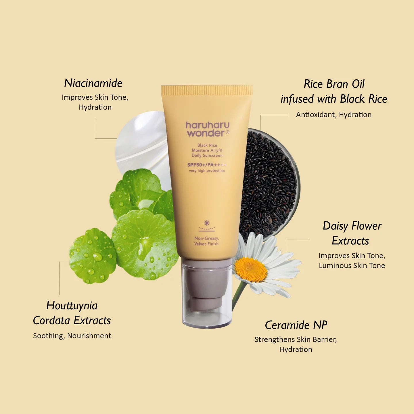 Black Rice Moisture Airyfit Sunscreen, 50ML