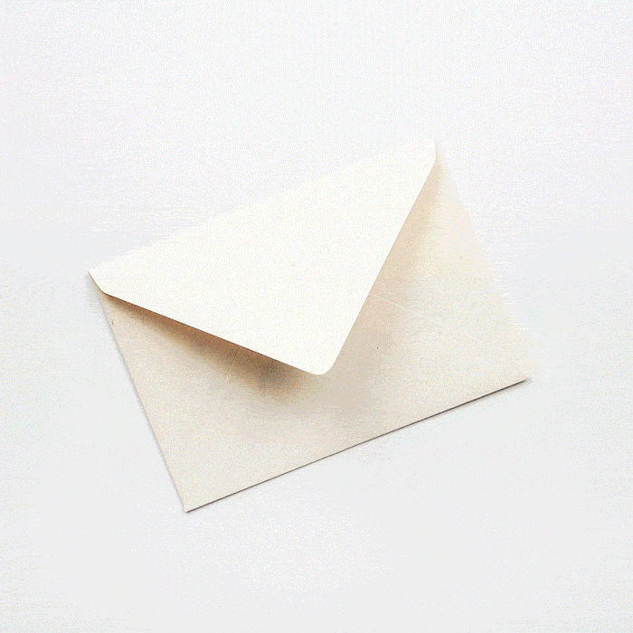 Hadley Holiday Cards