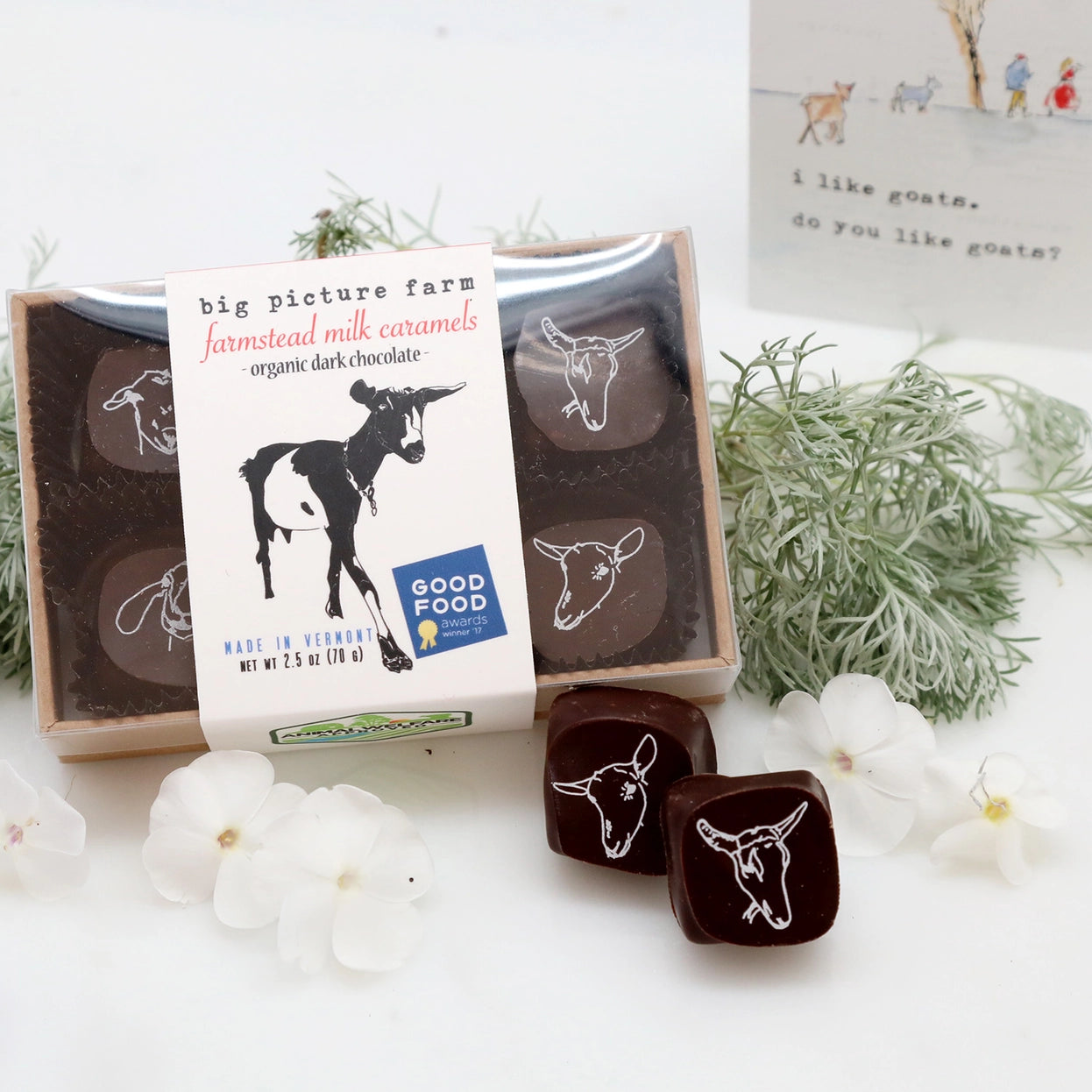 Farmstead Dark Chocolate Goat Milk Caramels, Set of 6