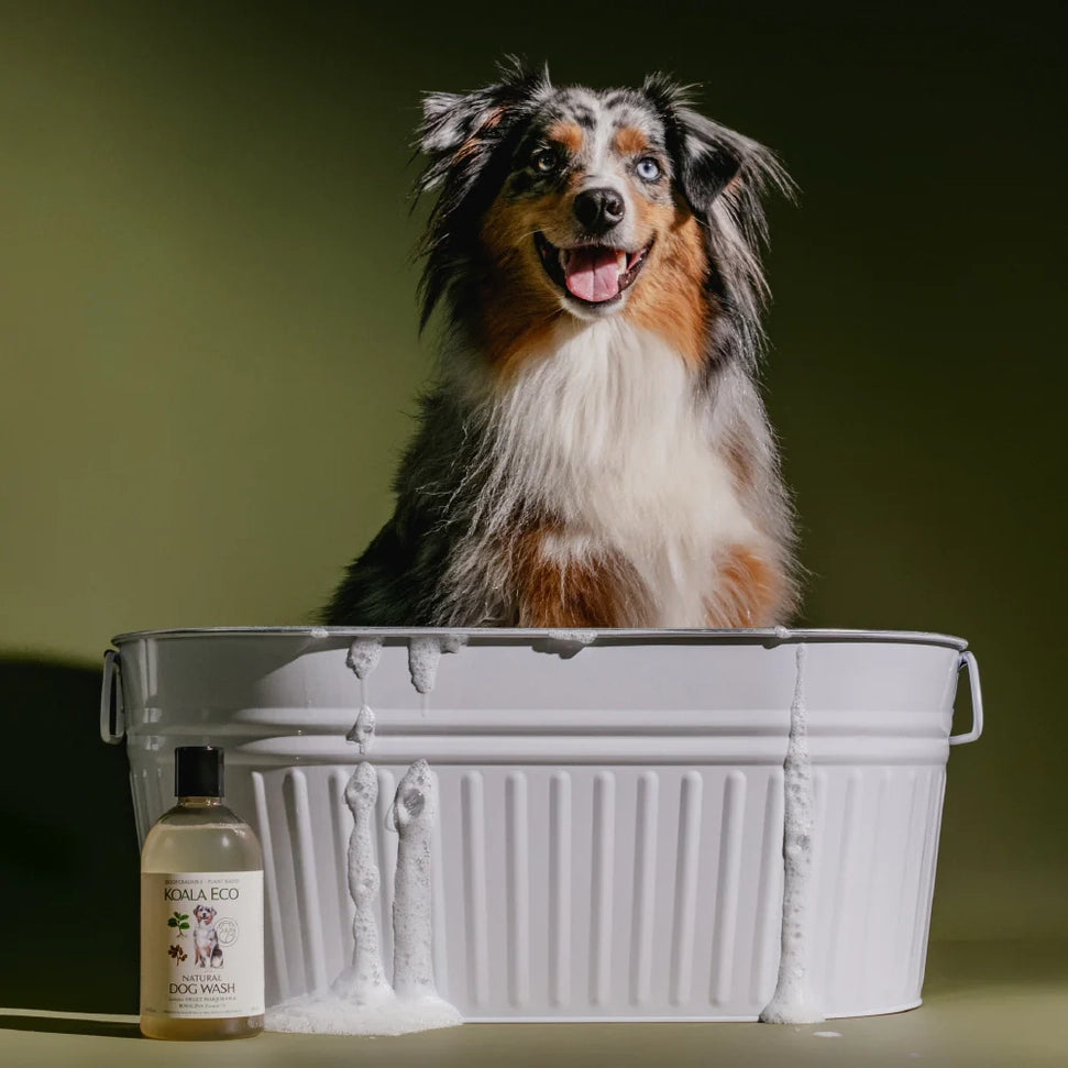 Natural Dog Wash, 16 oz.