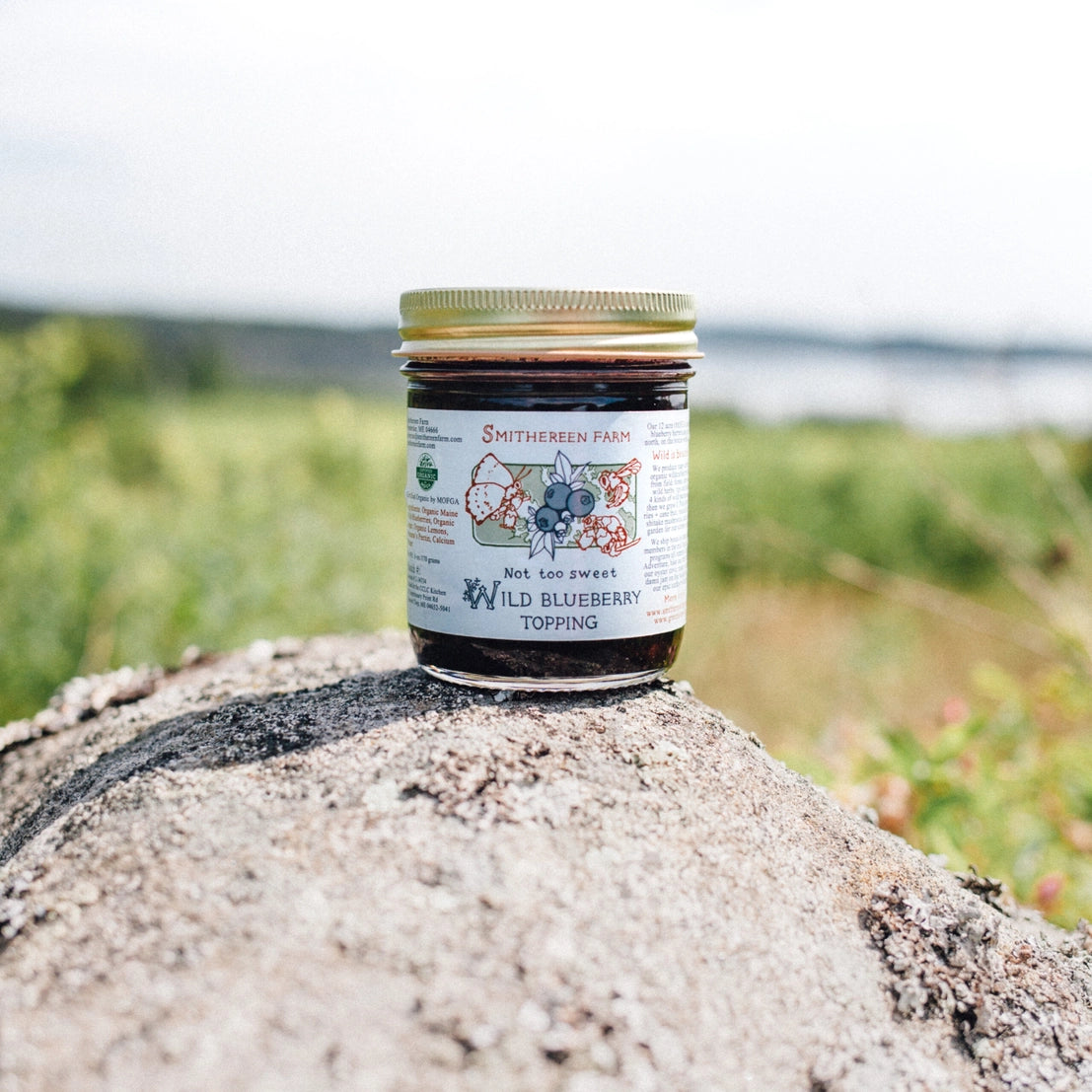 Organic Wild Blueberry Topping