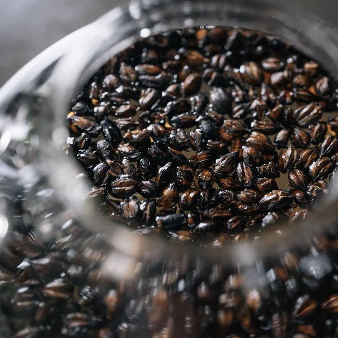 Tokyo Mugicha Tea | 120g