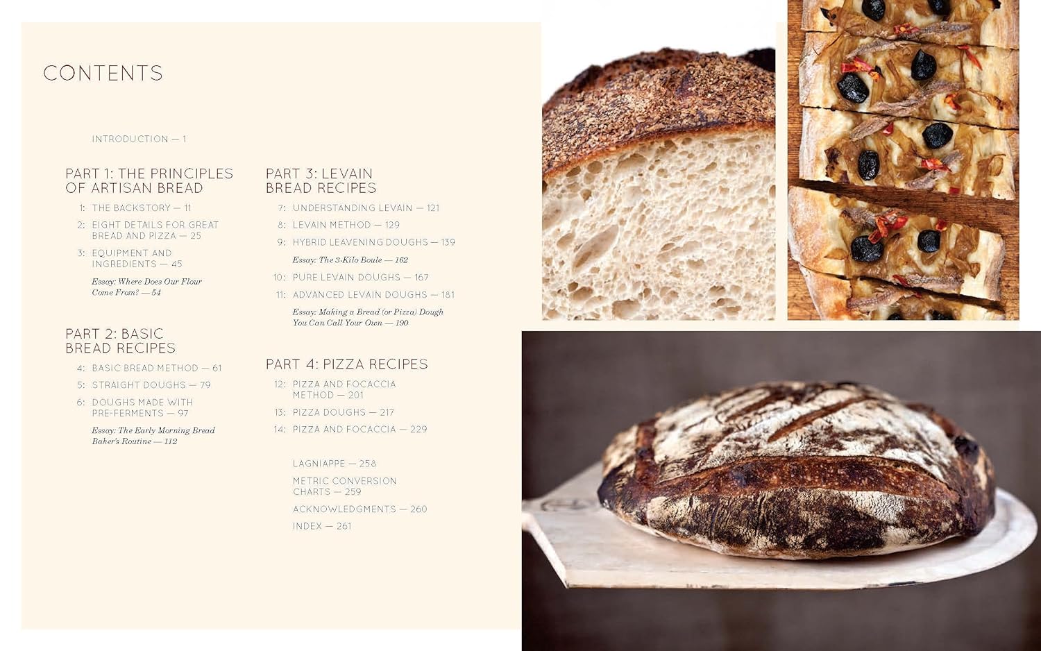 Flour Water Salt Yeast: The Fundamentals of Artisan Bread and Pizza