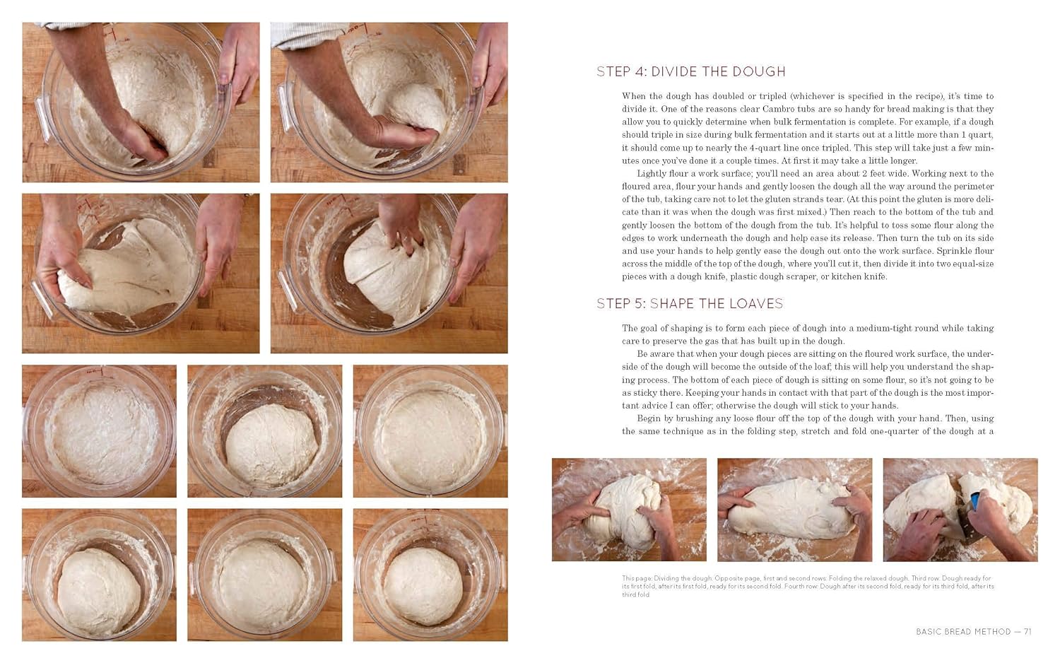 Flour Water Salt Yeast: The Fundamentals of Artisan Bread and Pizza