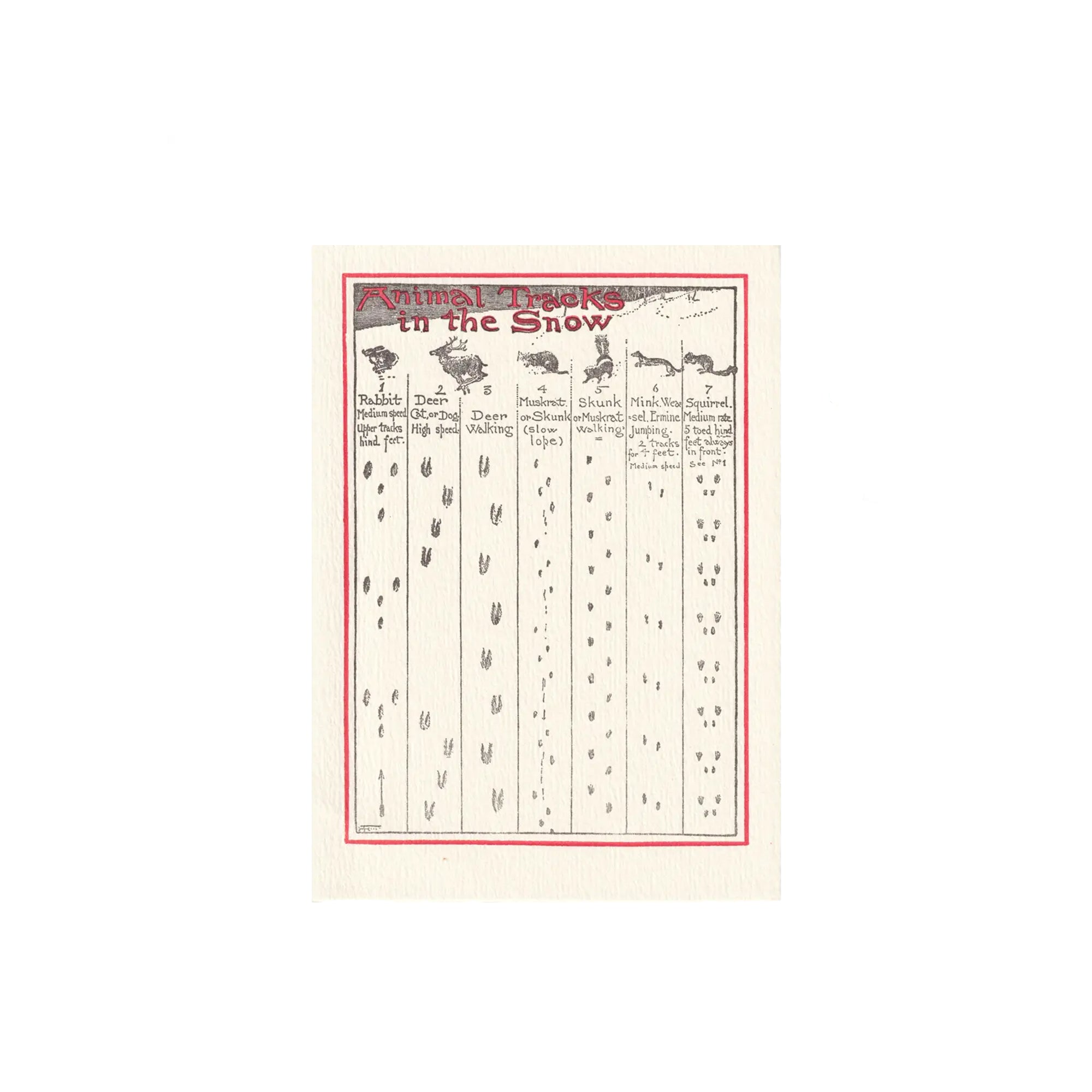 Greeting Cards