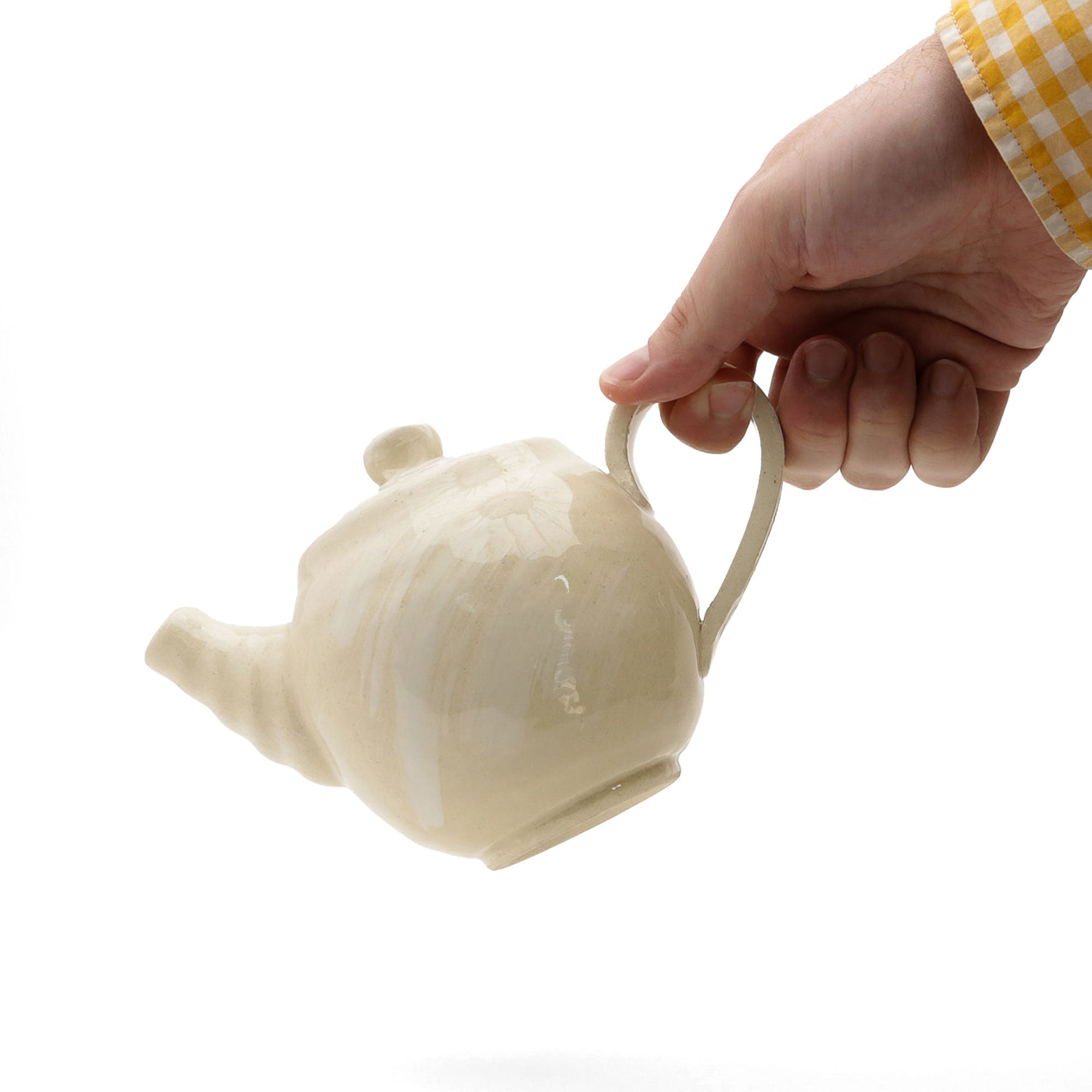Handmade Japanese Ceramic Teapot