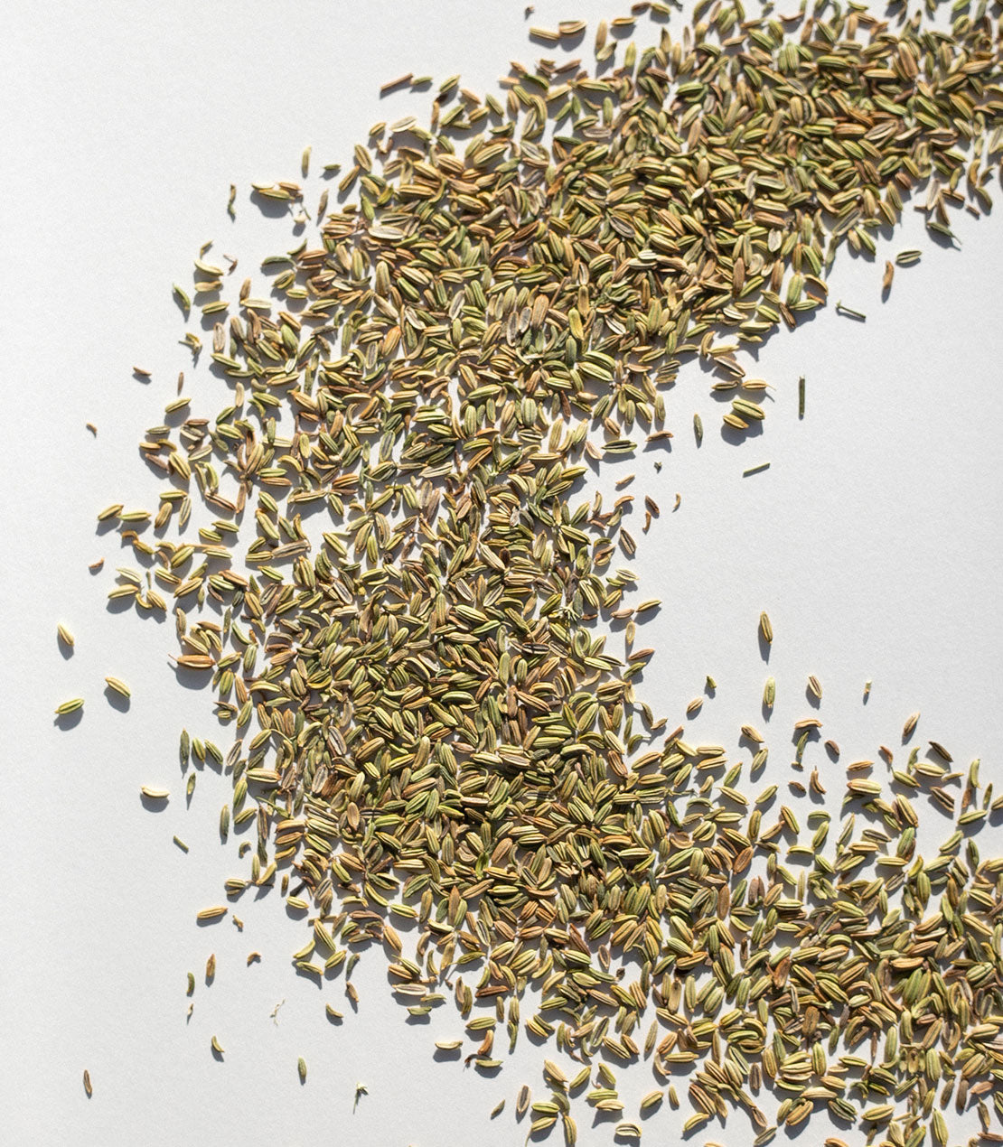 Fragrant Fennel Seeds, 55 g.