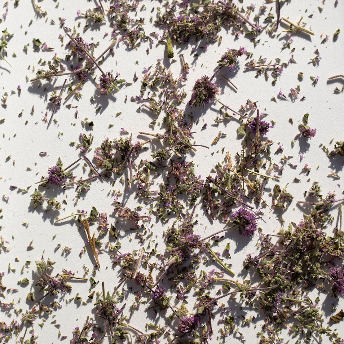 Pennyroyal Mint Tea, 22 g.