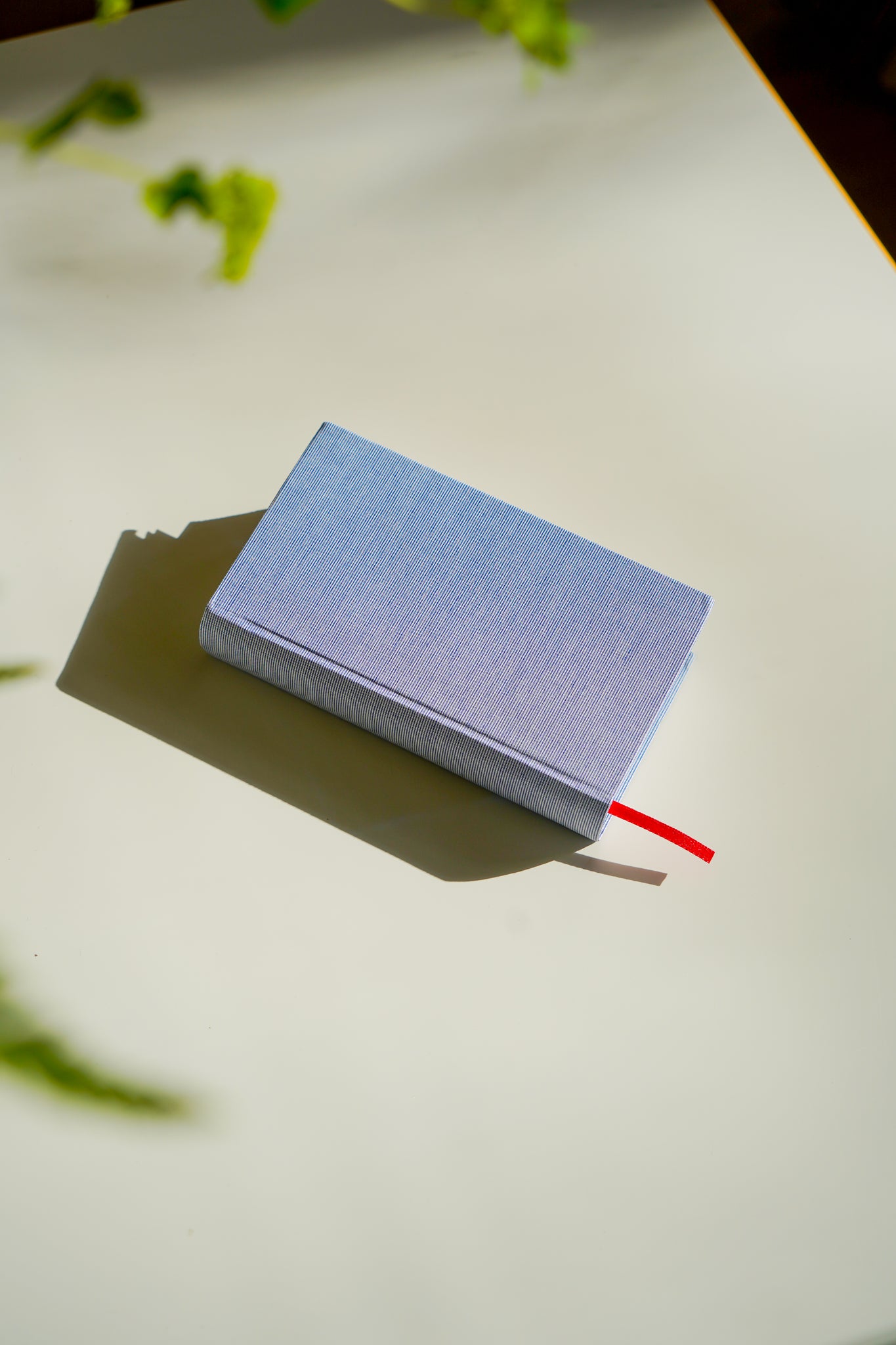 5 Year Diary in Blue