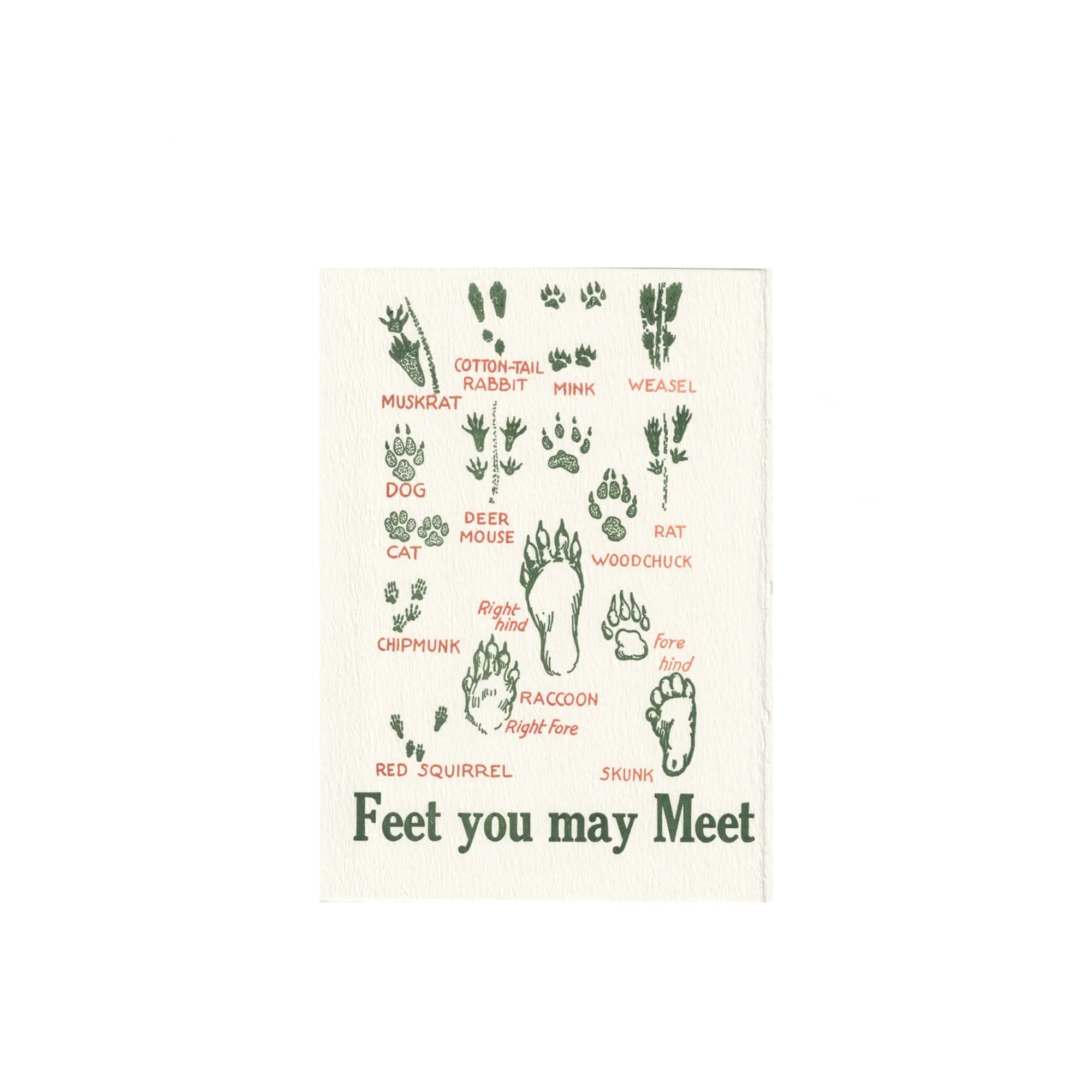 Greeting Cards