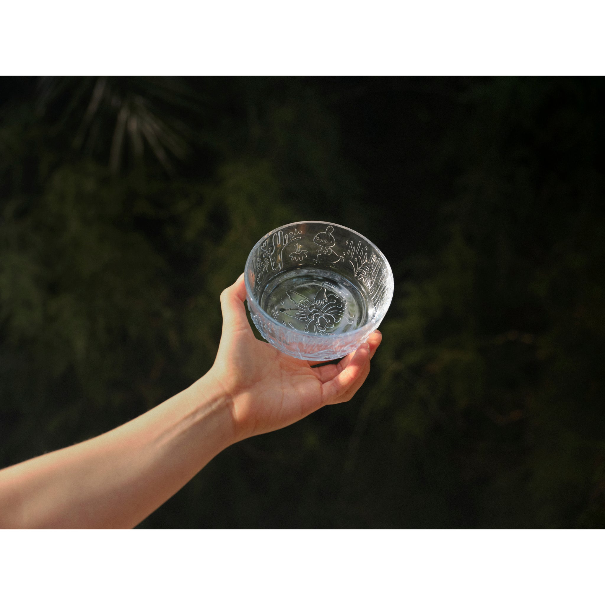 Moomin Clear Glass Bowl