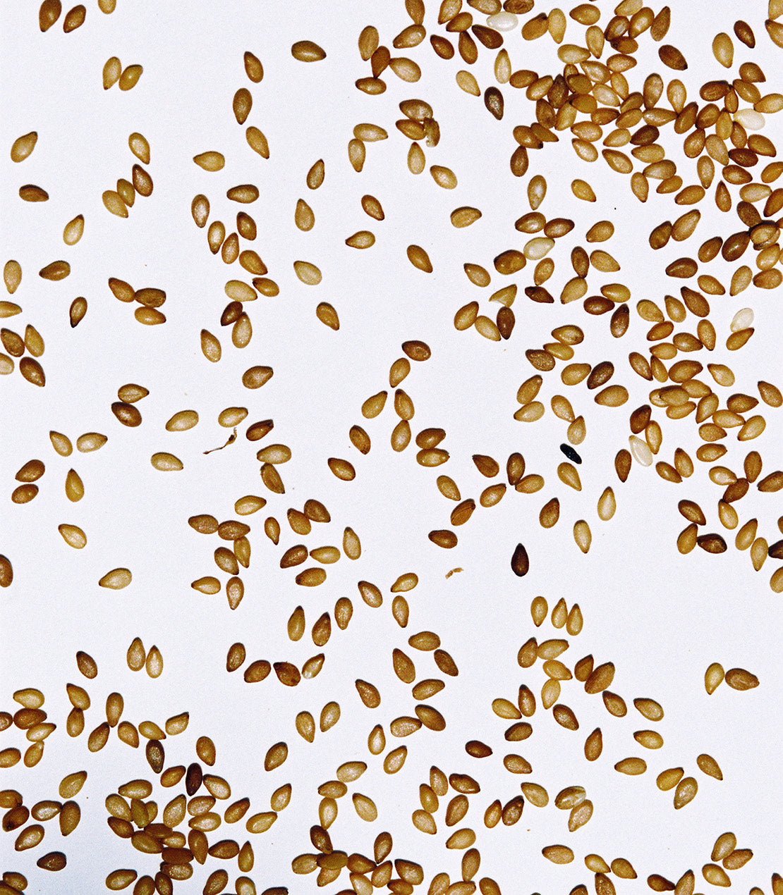 Evros Sesame Seeds, 90 g.