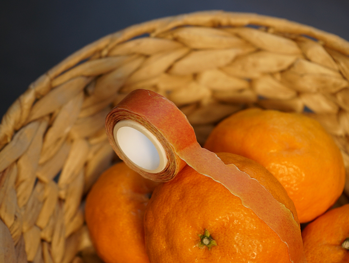 Fruit Peel Washi Masking Tape
