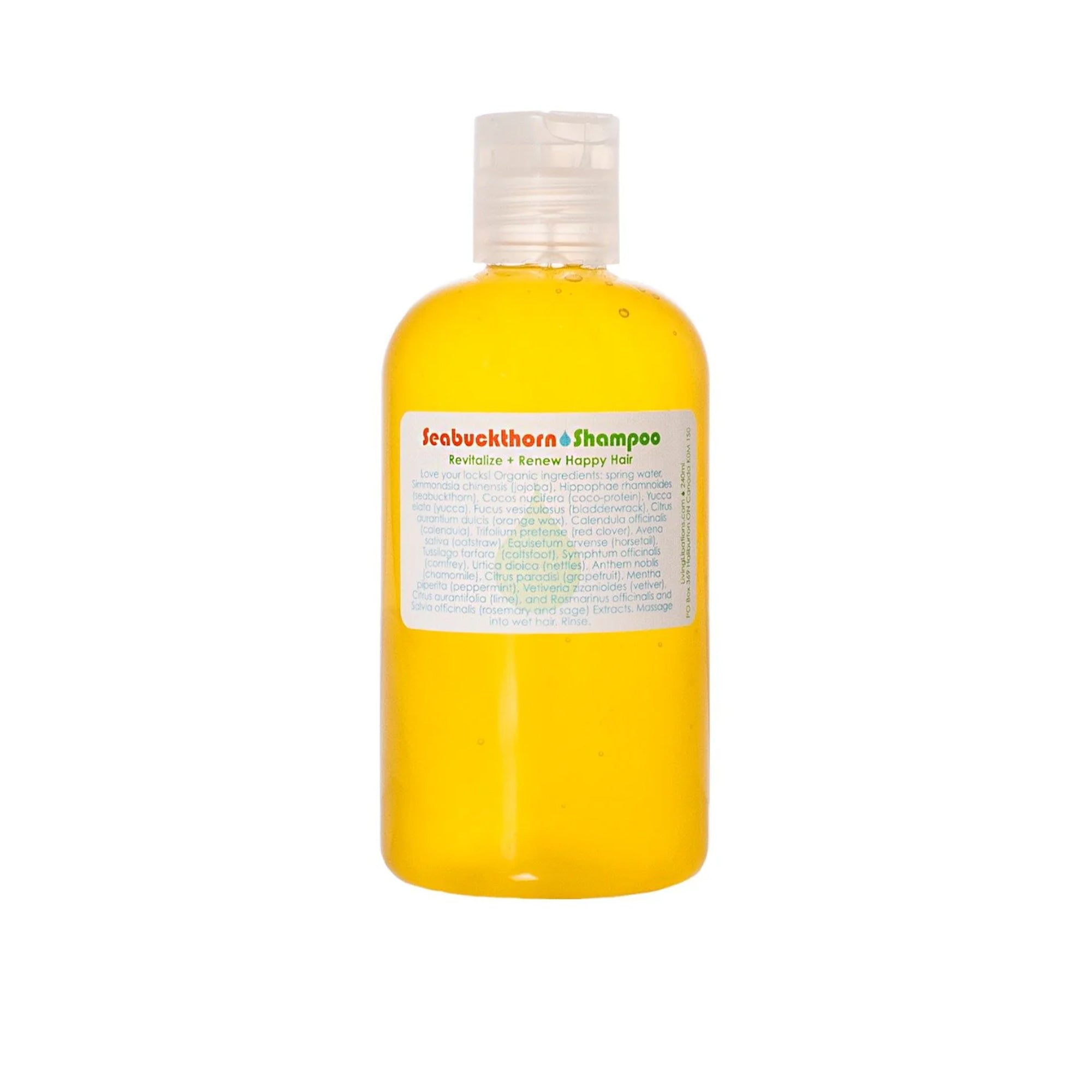 Seabuckthorn Shampoo