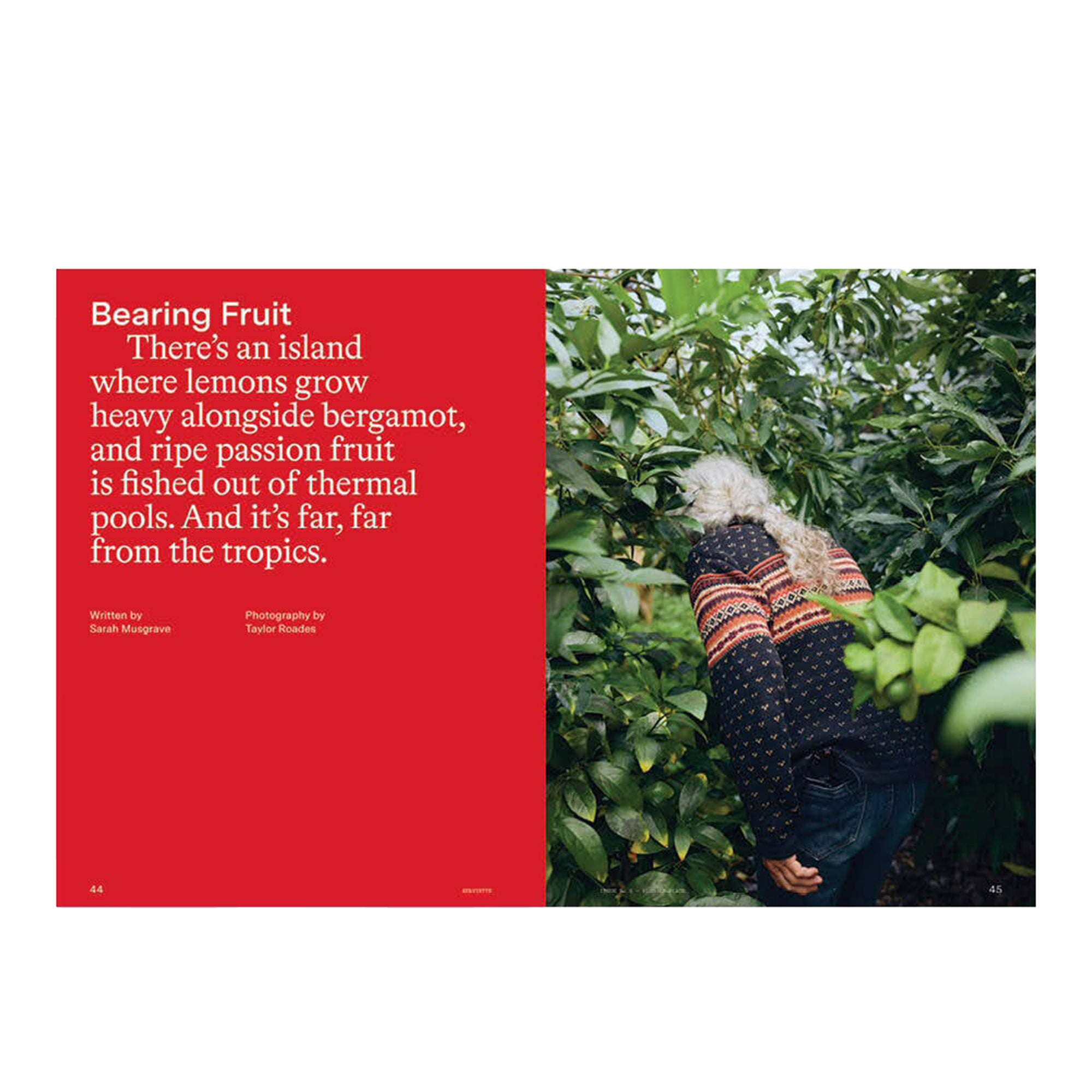 Serviette, Issue 05