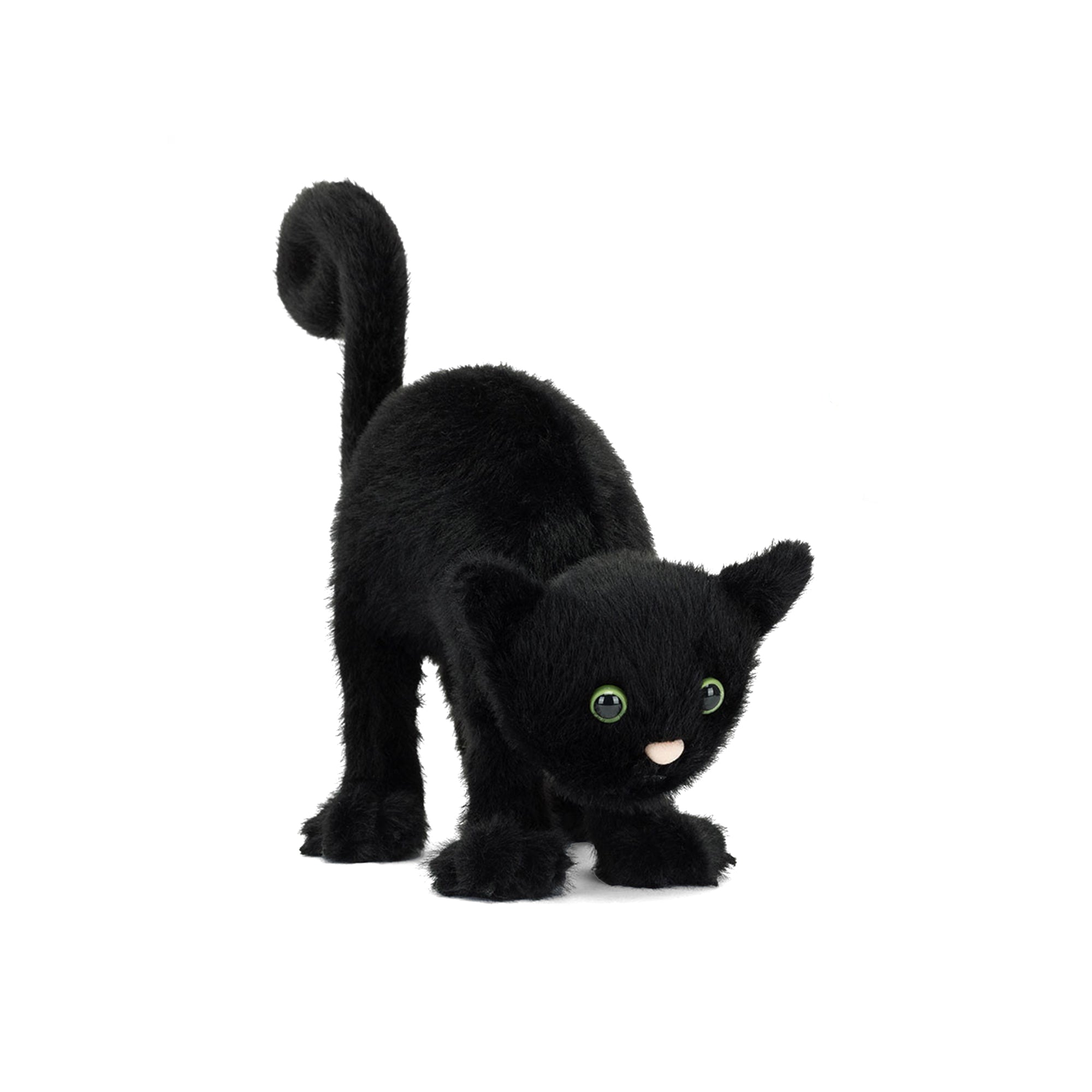 Spookipaws Cat