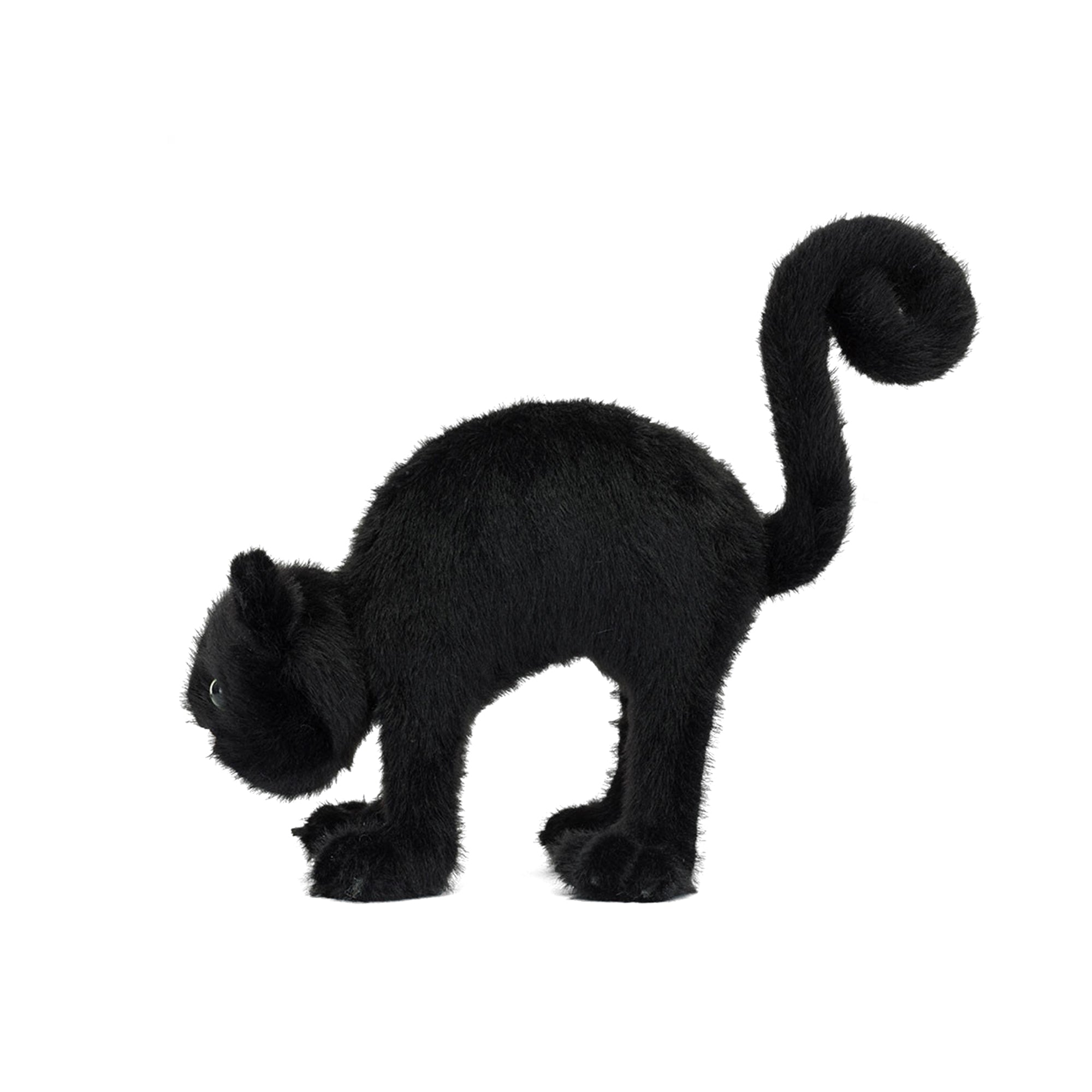 Spookipaws Cat