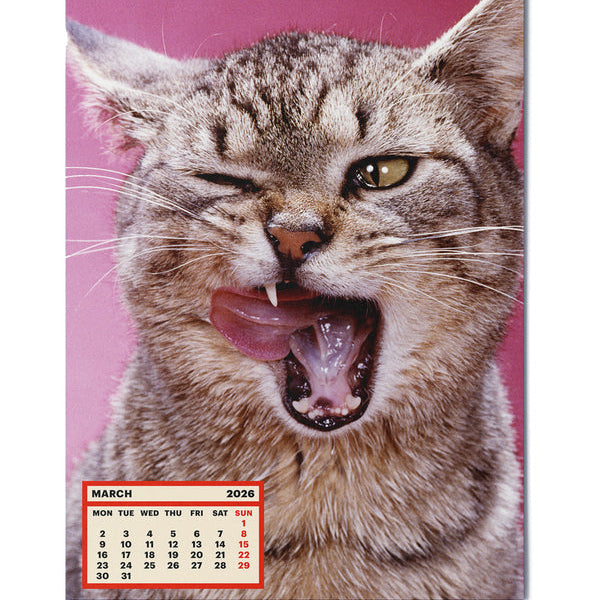 ToiletWalter PaperChandoha, Calendar 2026