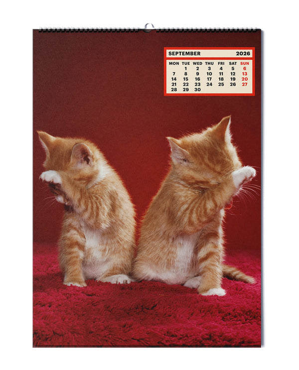 ToiletWalter PaperChandoha, Calendar 2026