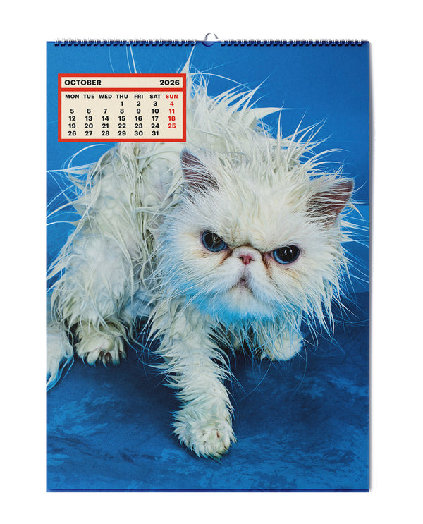 ToiletWalter PaperChandoha, Calendar 2026