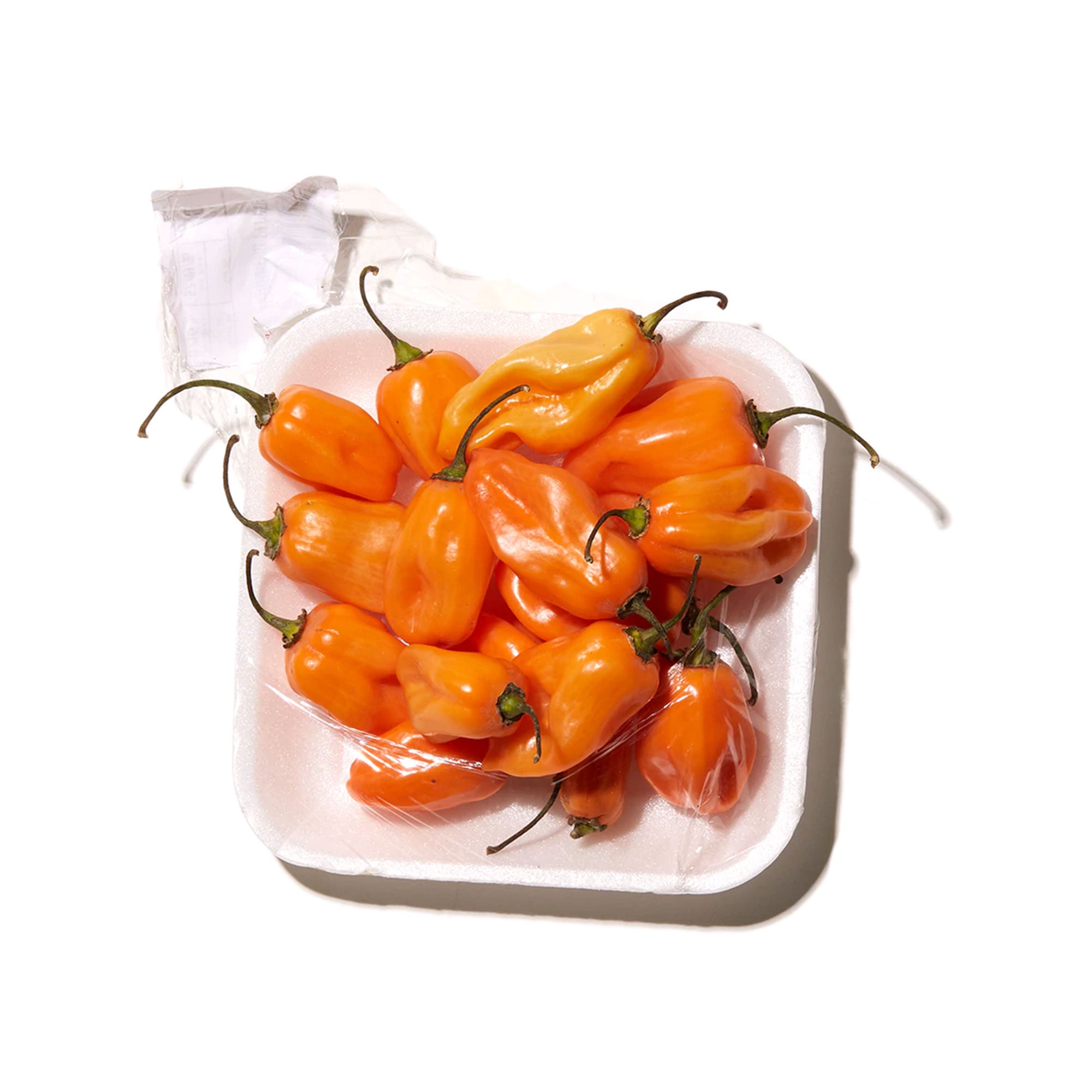 Tamarindo, Dinner Napkins, Set of 2