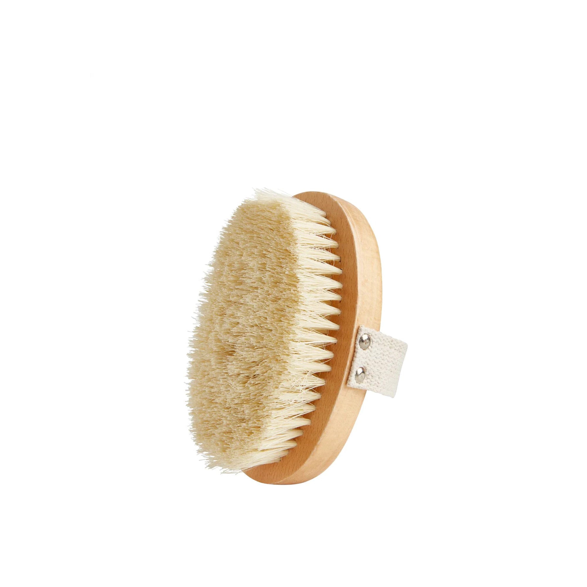Plant-Based Dry Brush