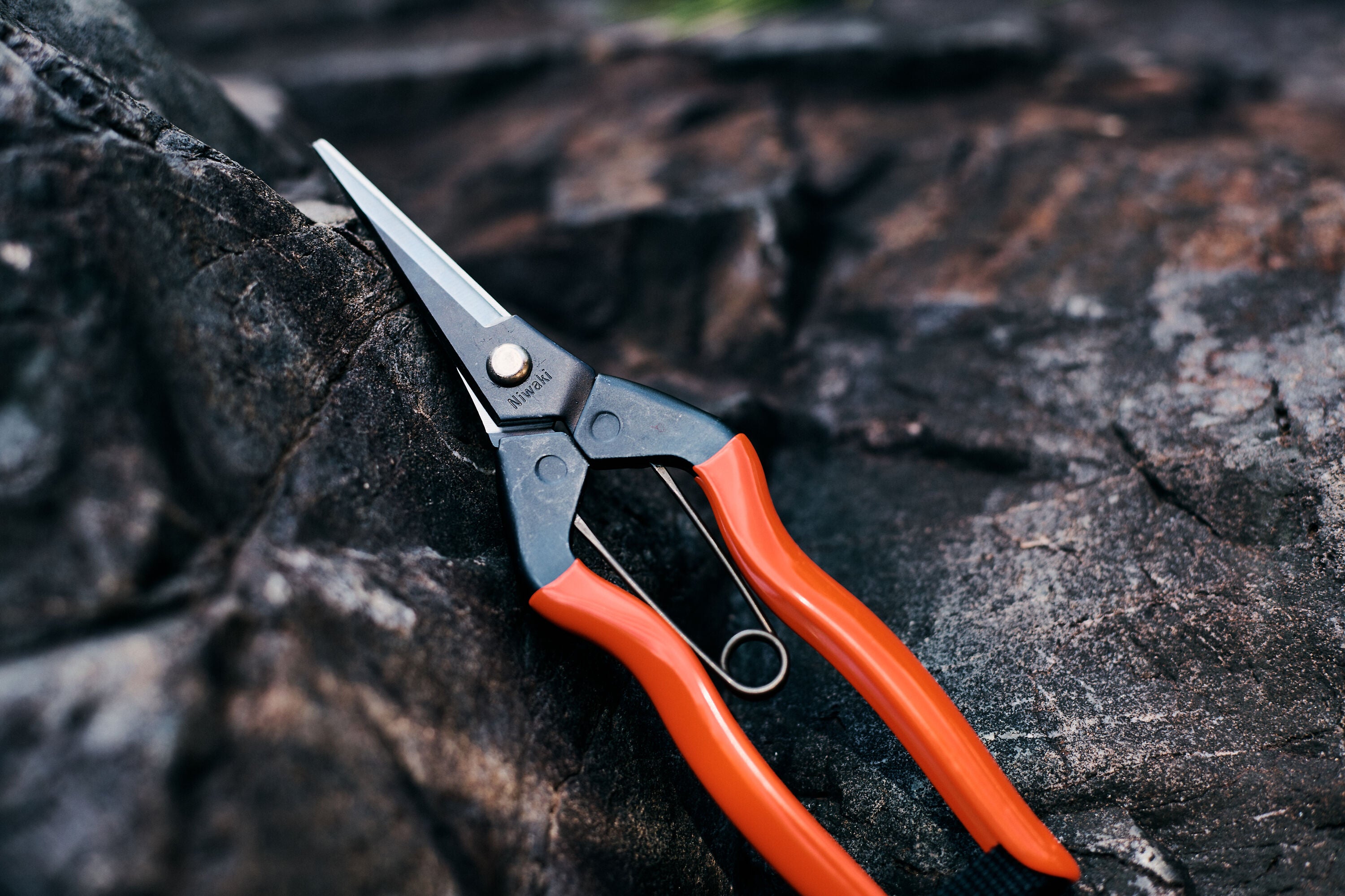 Garden Snips
