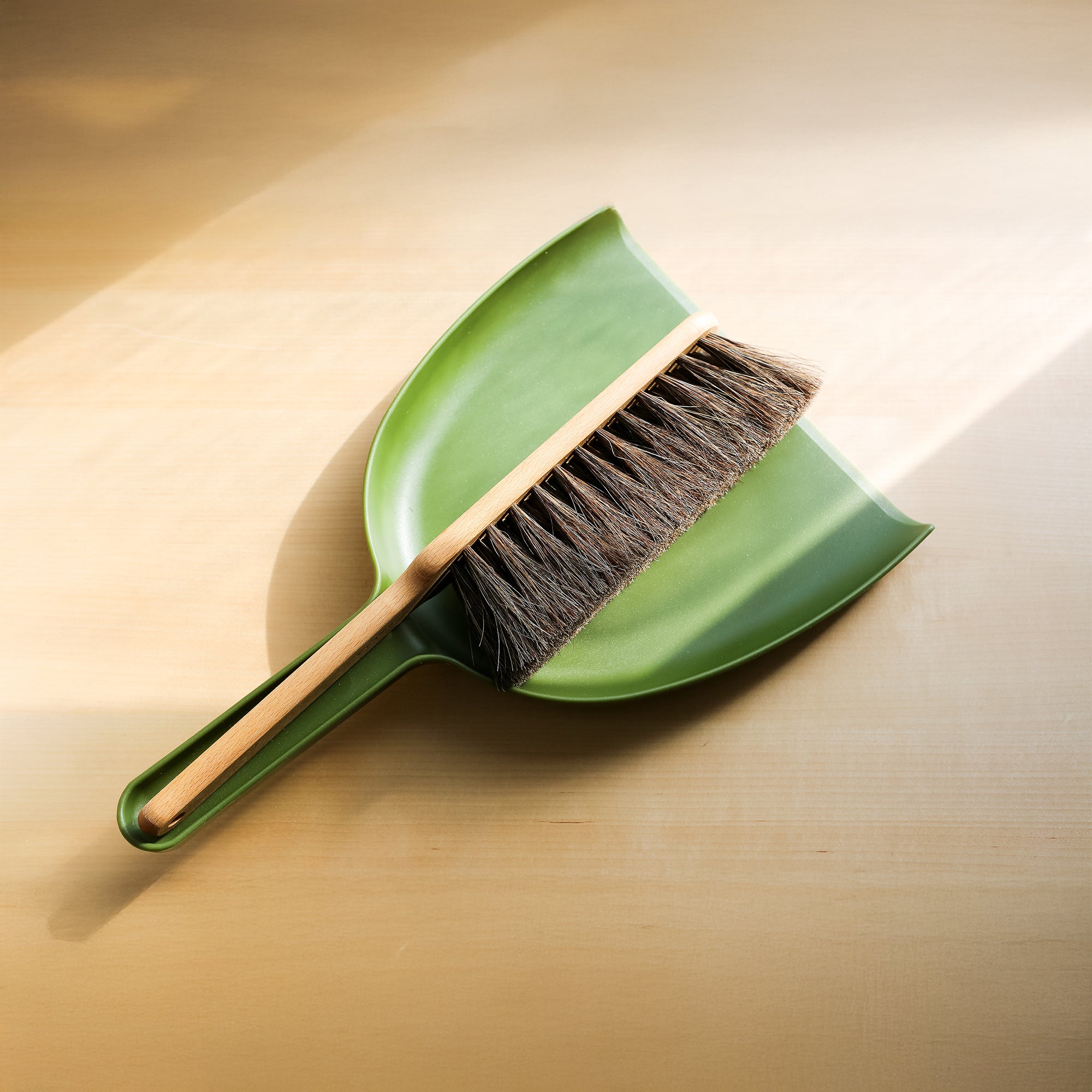Dustpan + Brush Set