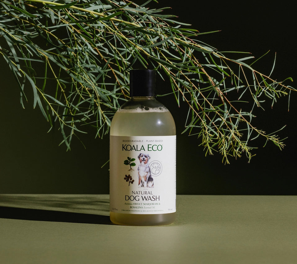 Natural Dog Wash, 16 oz.