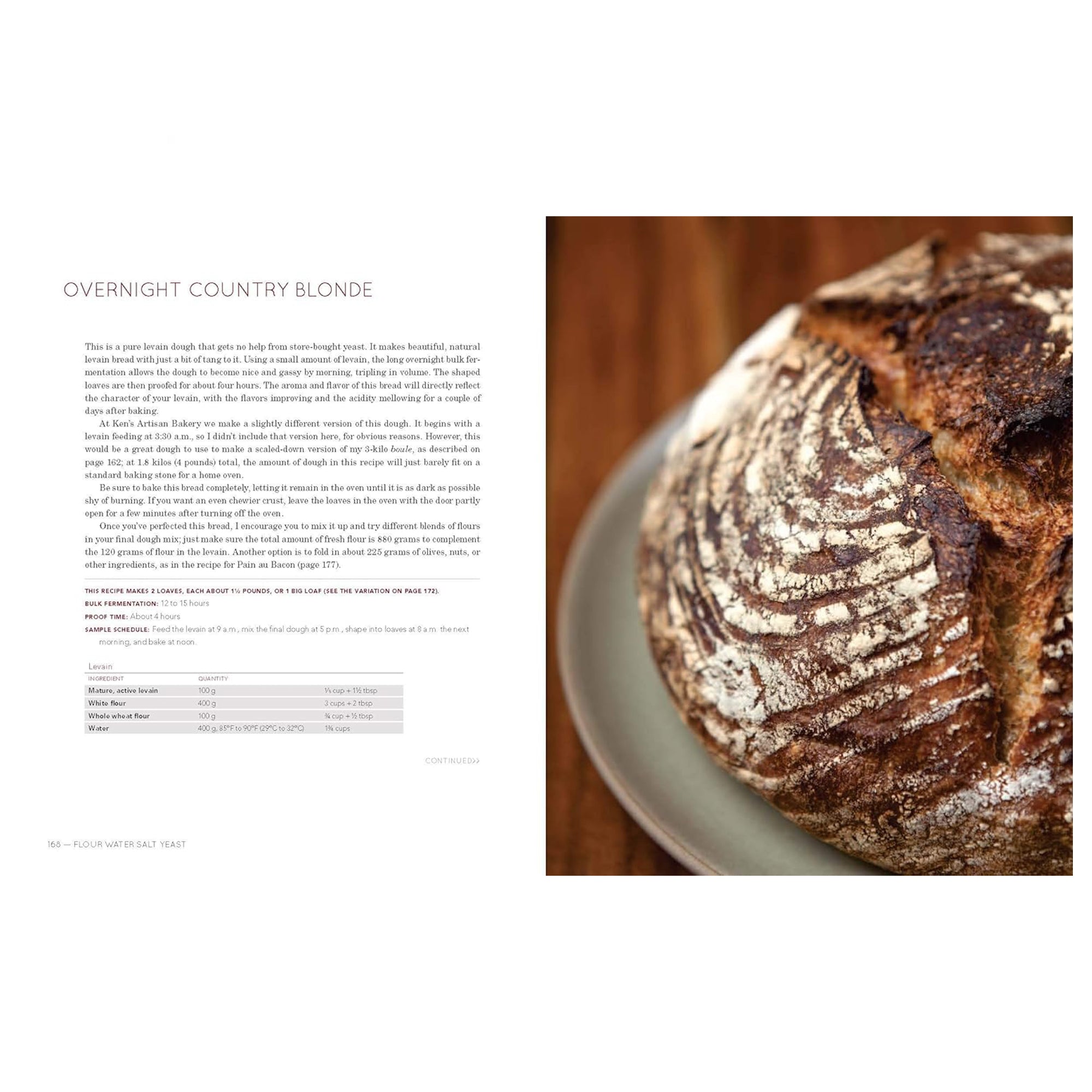 Flour Water Salt Yeast: The Fundamentals of Artisan Bread and Pizza