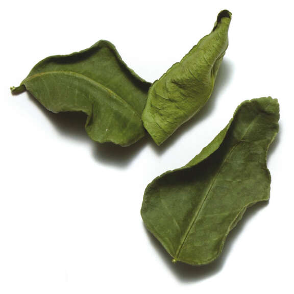 Kaffir Lime Leaves, 5g