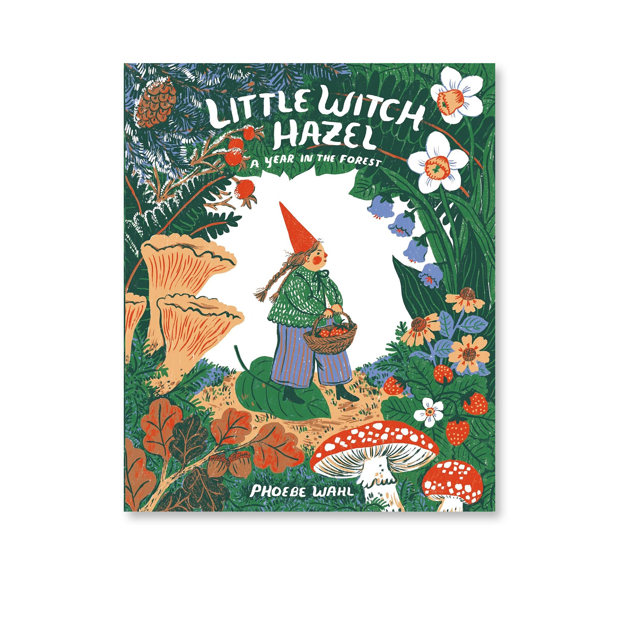 Little Witch Hazel