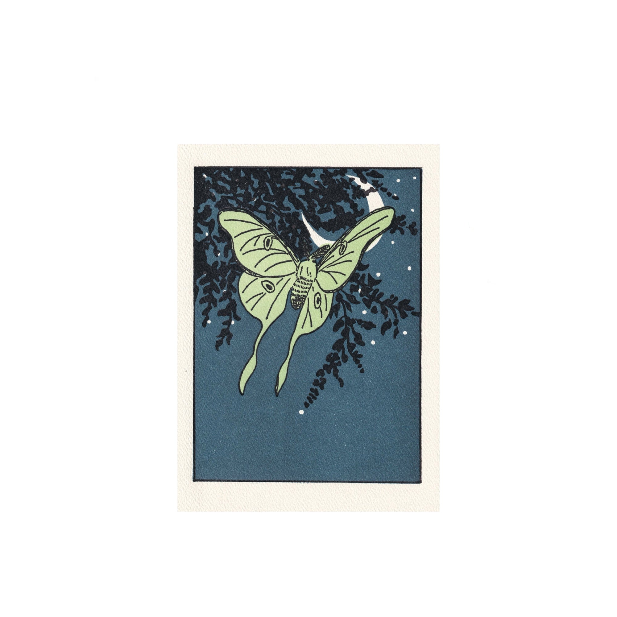 Greeting Cards