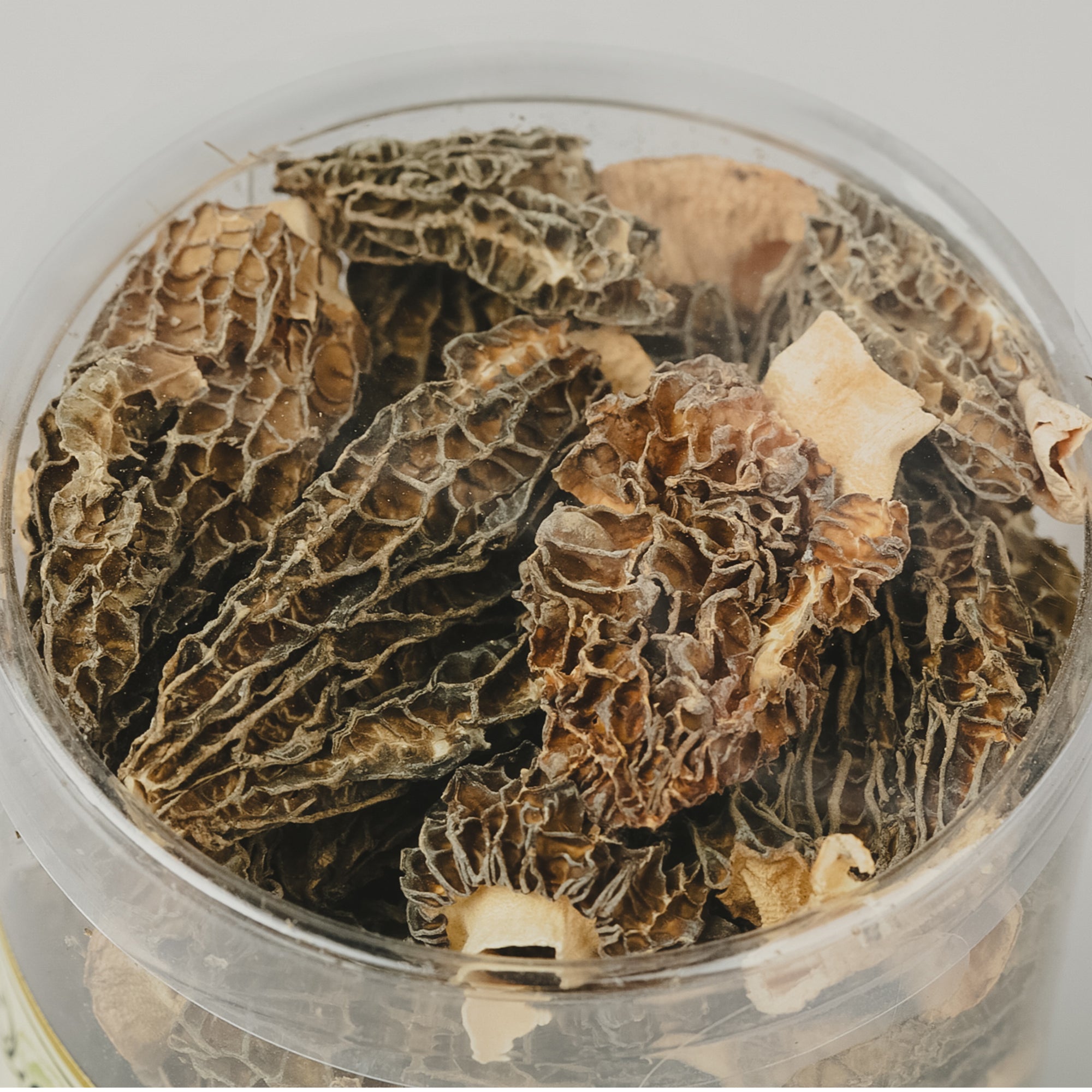 Dried Morel Mushrooms, 1.5 oz.