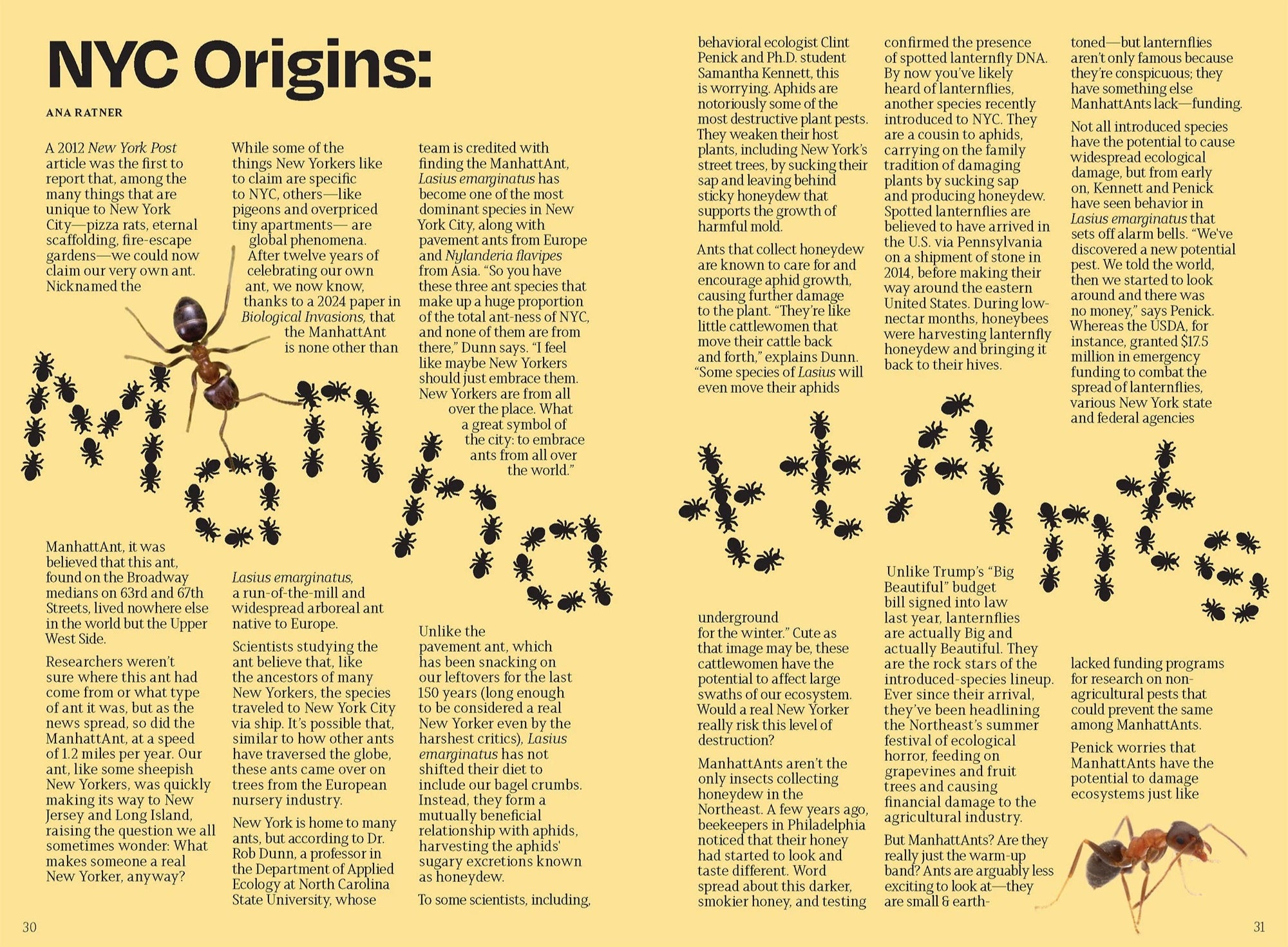 The Other Almanac: 2026